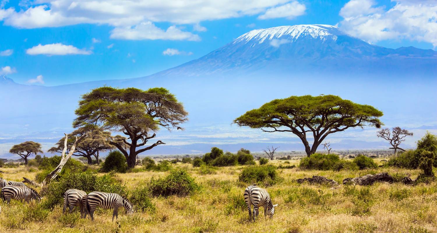 Afrique : Circuits éco 2026/2027
