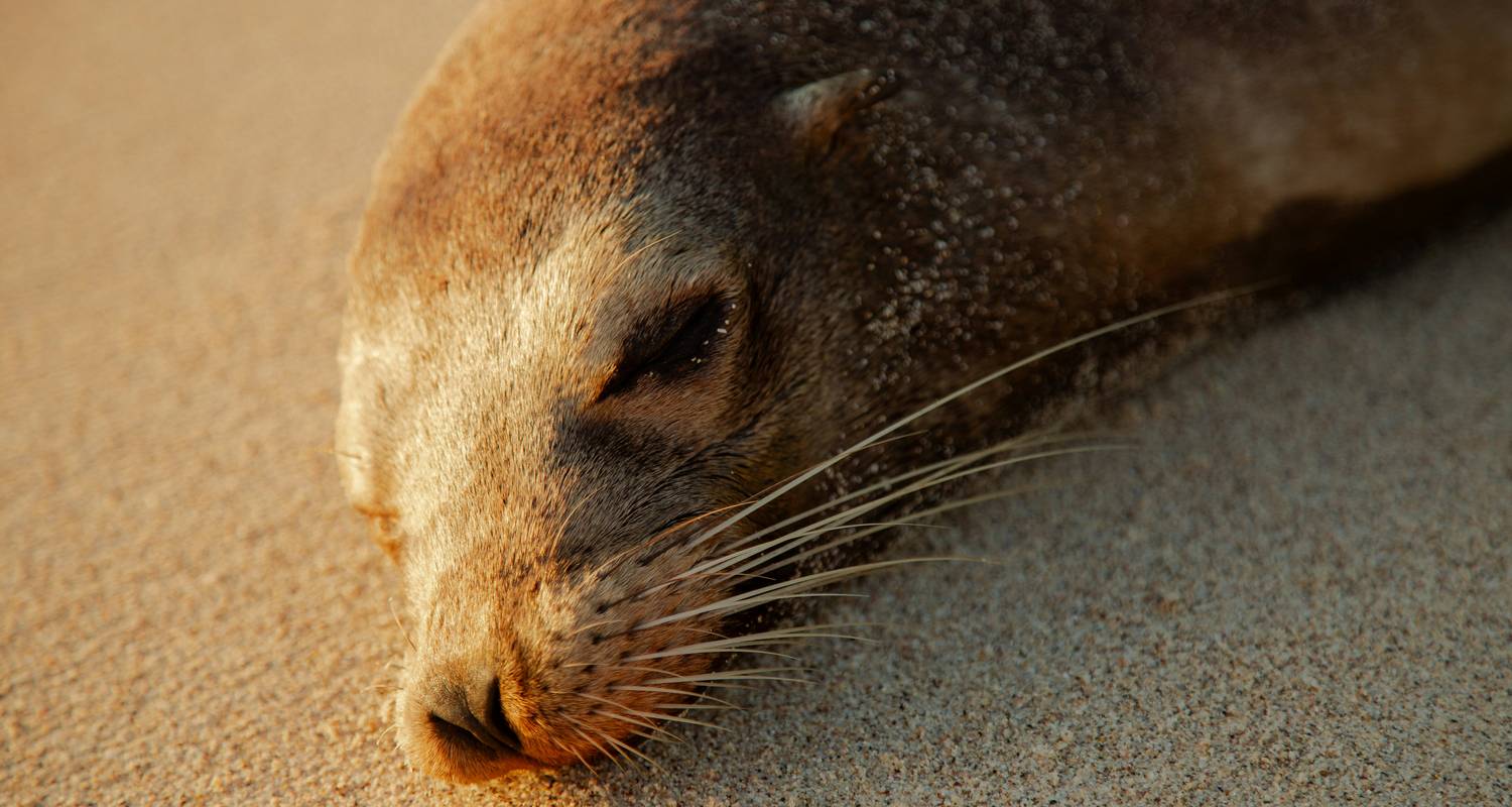 Budget Tours to Galapagos Islands