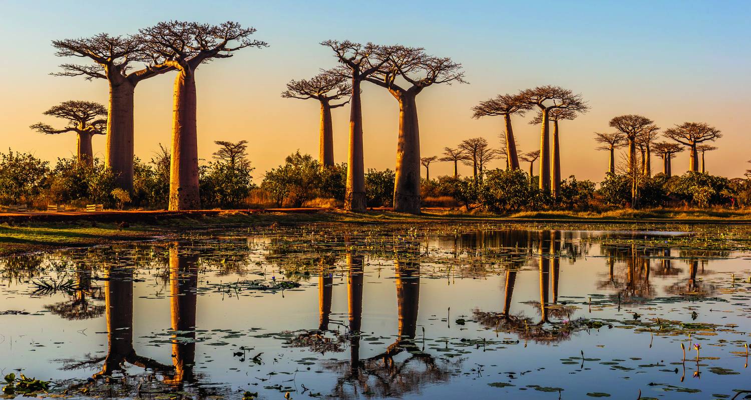 Tanzanie : Panorama – de Lushoto à Saadani - SKR Reisen