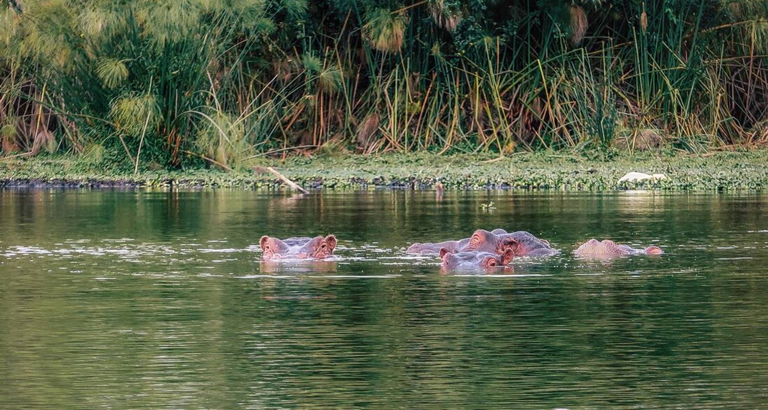 Tansania-Uganda Camping Reise Rundreisen