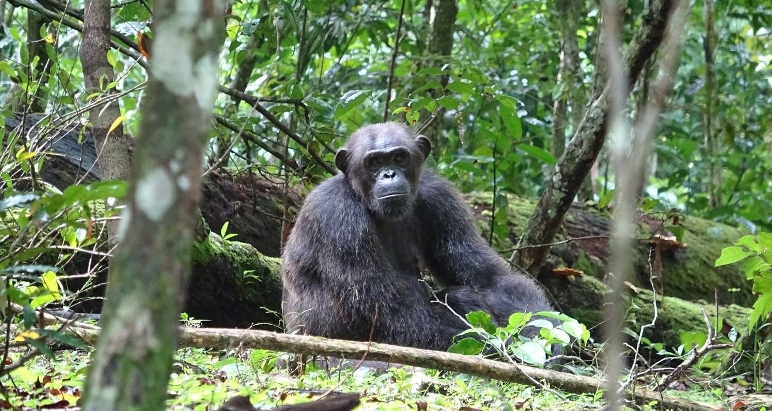 Groepsreizen met kleine groepen in Sao Tomé en Principe