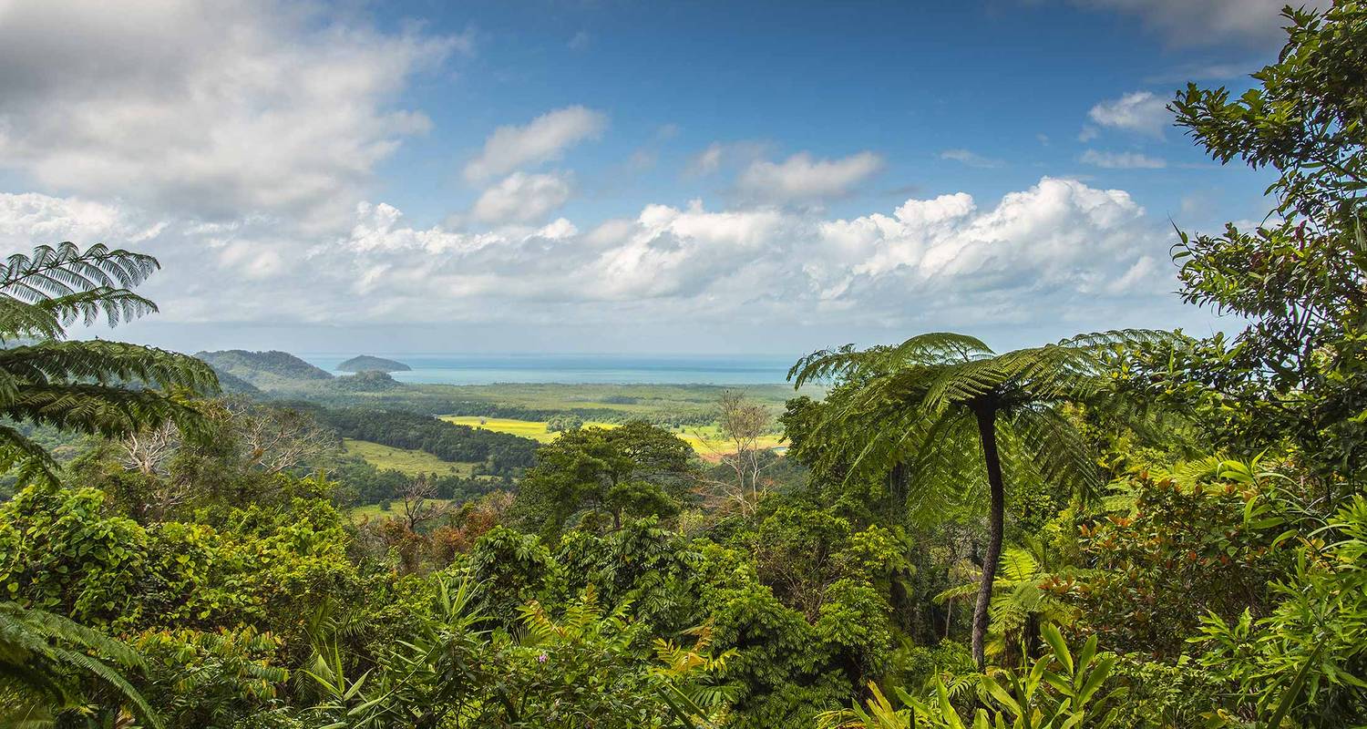 Cairns to Brisbane Adventure - Intrepid Travel