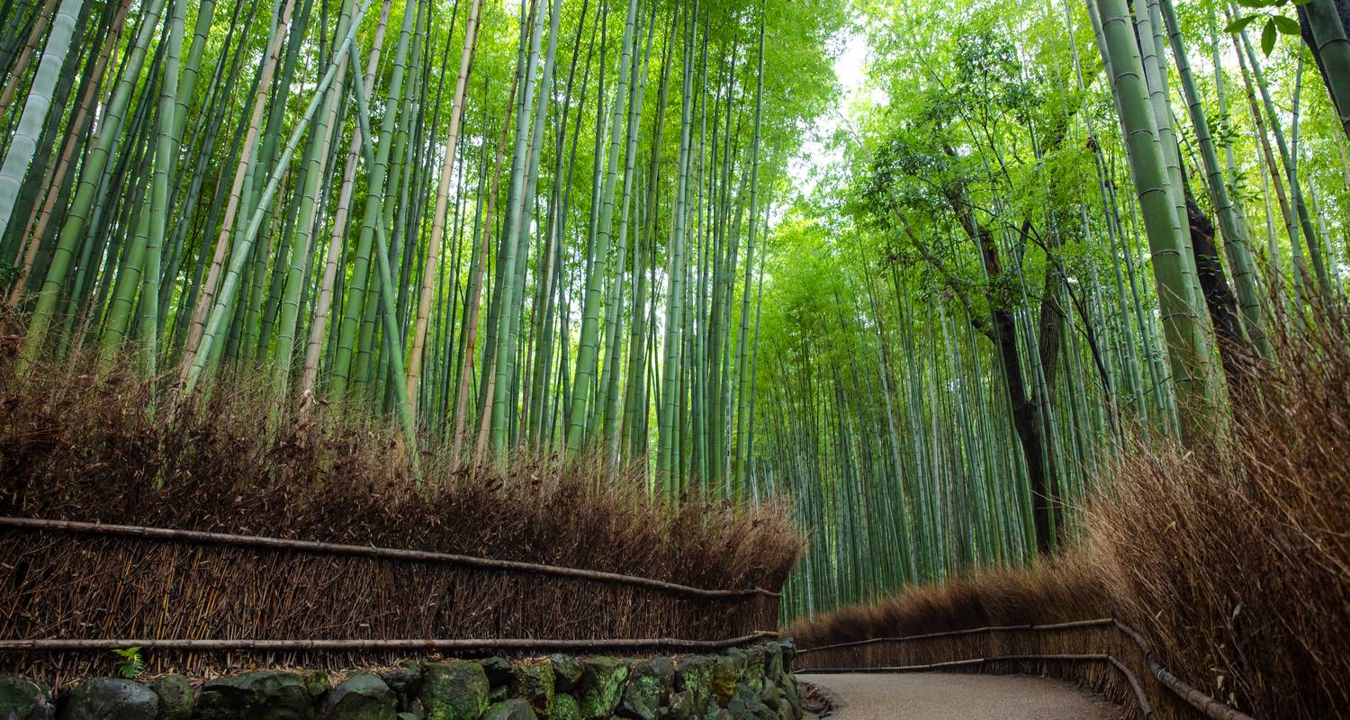 Fotografía Cultural Circuitos en Japón