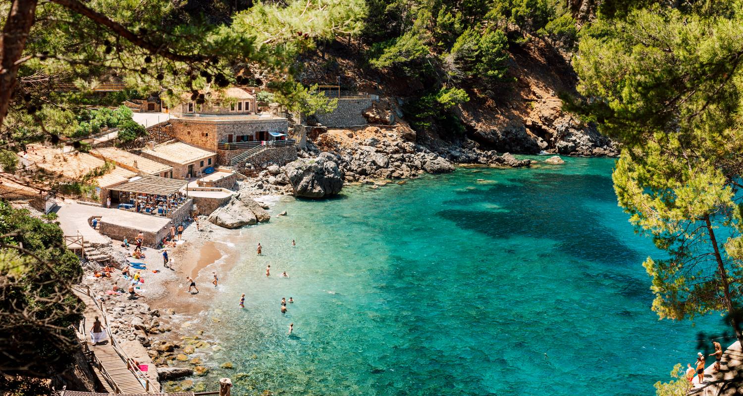 Mallorca Tours & Trips