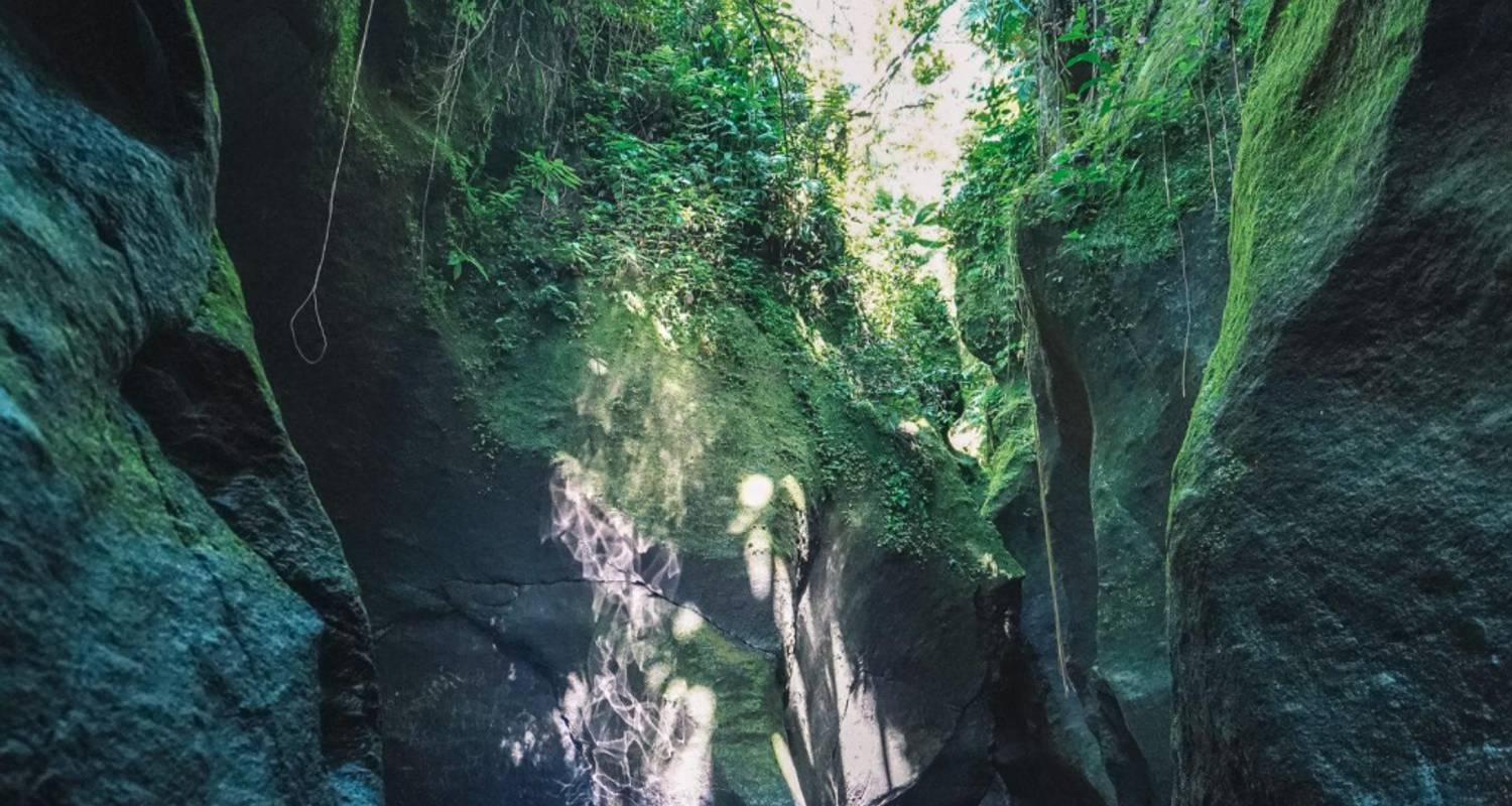 Dominica Small Group Tours
