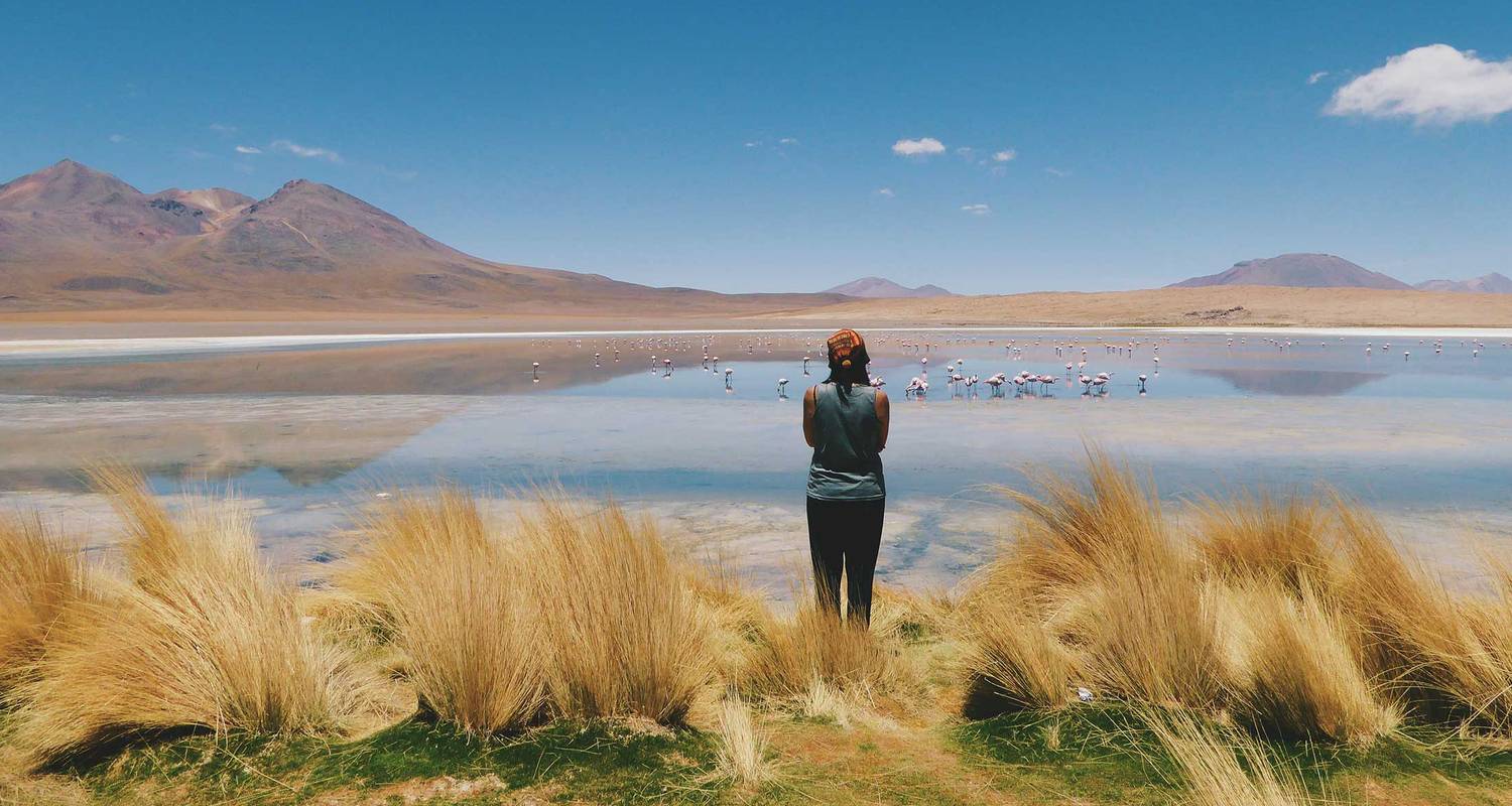 De 18 à 35 ans : De la Bolivie au Brésil - Intrepid Travel