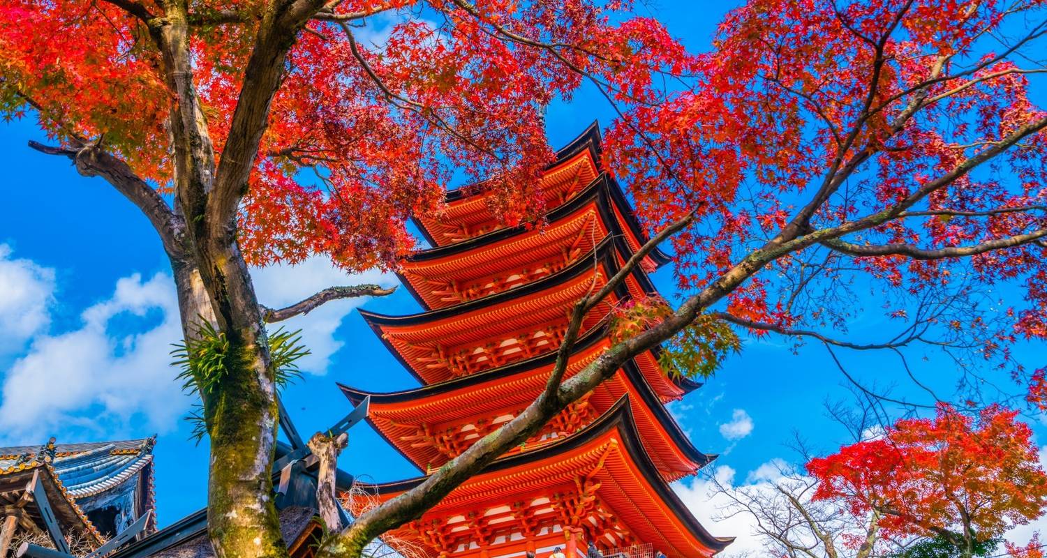 Südjapan Abenteuer zu Fußen