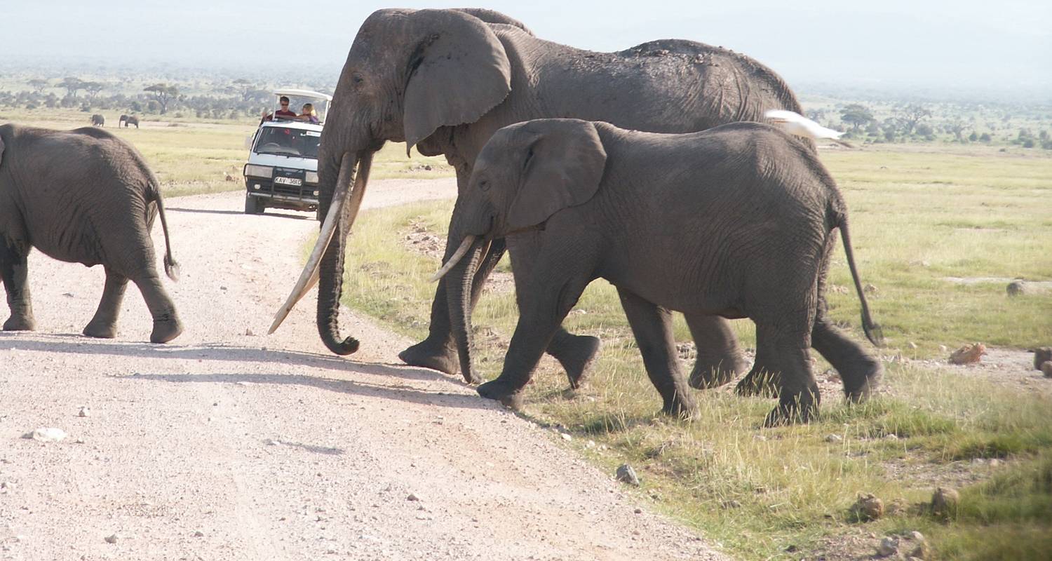 3 Tage Kenia Mini Safari - Arlom Kenya Safaris