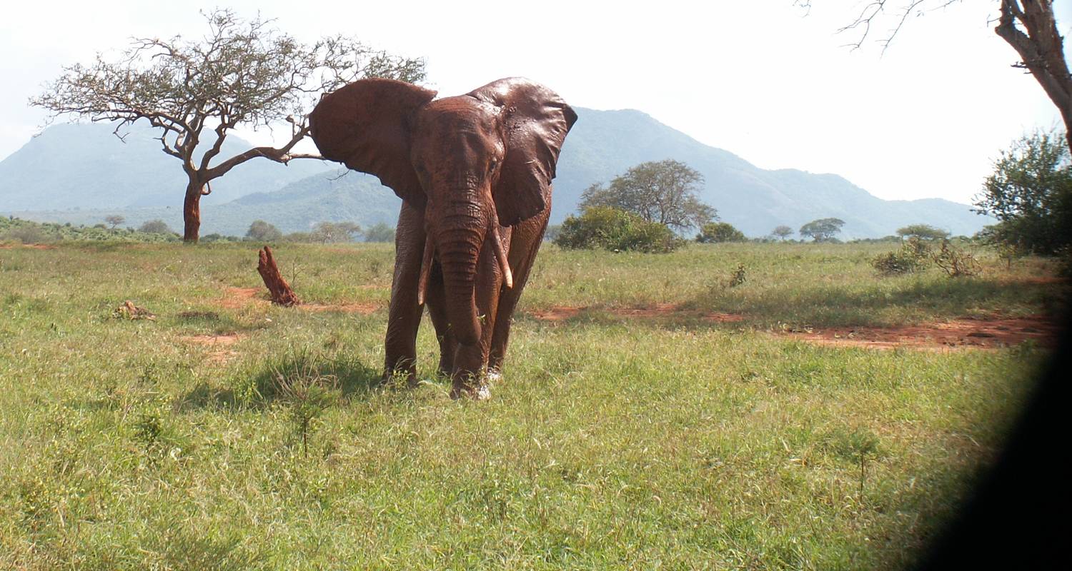 7 Days Kenya Big 5 Safari - Arlom Kenya Safaris