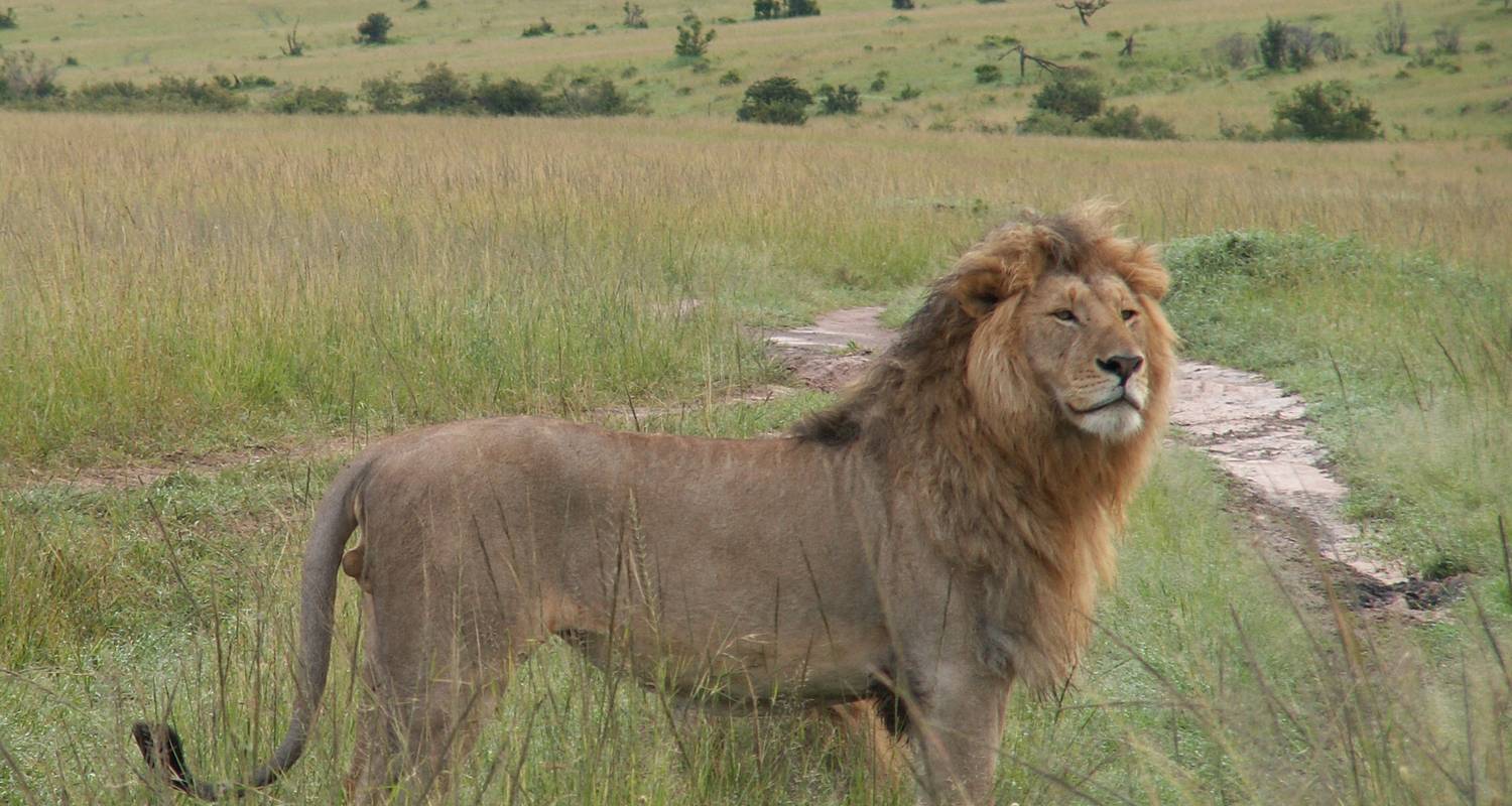 8 Days Kenya Horizon Safari - Arlom Kenya Safaris