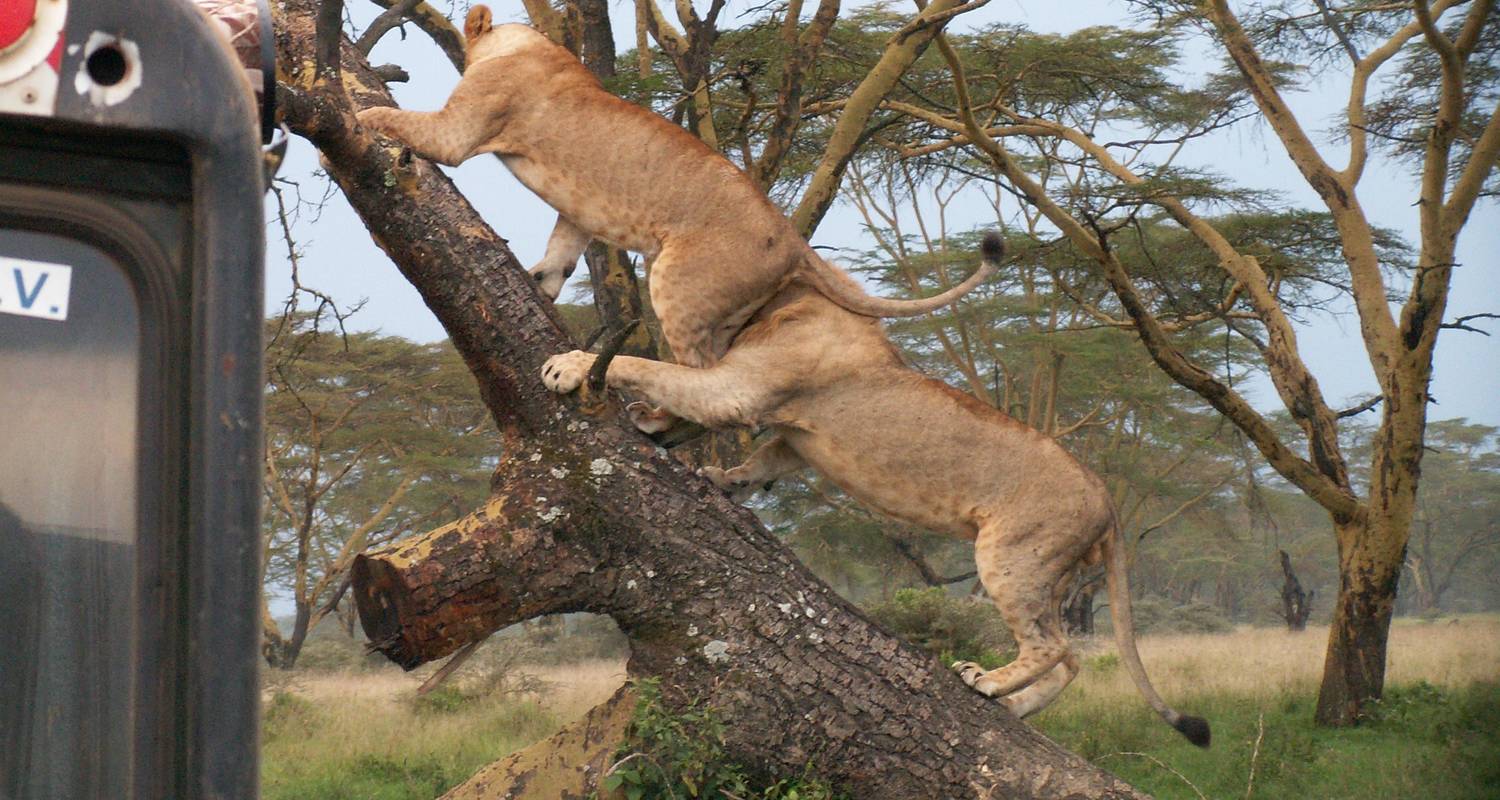 2 Days Great Lakes Safari - Arlom Kenya Safaris