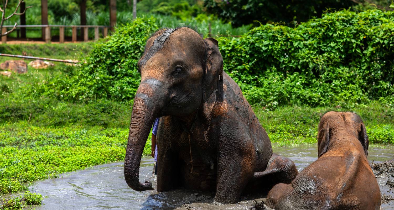 Cultural Photography Tours & Trips in Northern Thailand