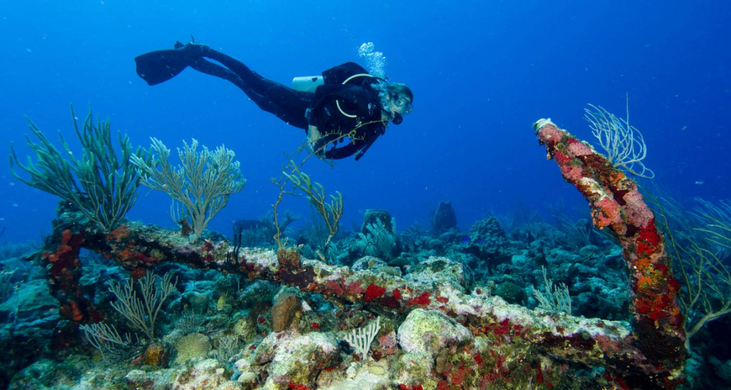 Circuitos y viajes por Aruba