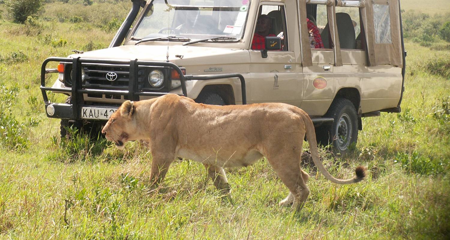 7 Days Kenya Adventure Safari - Arlom Kenya Safaris