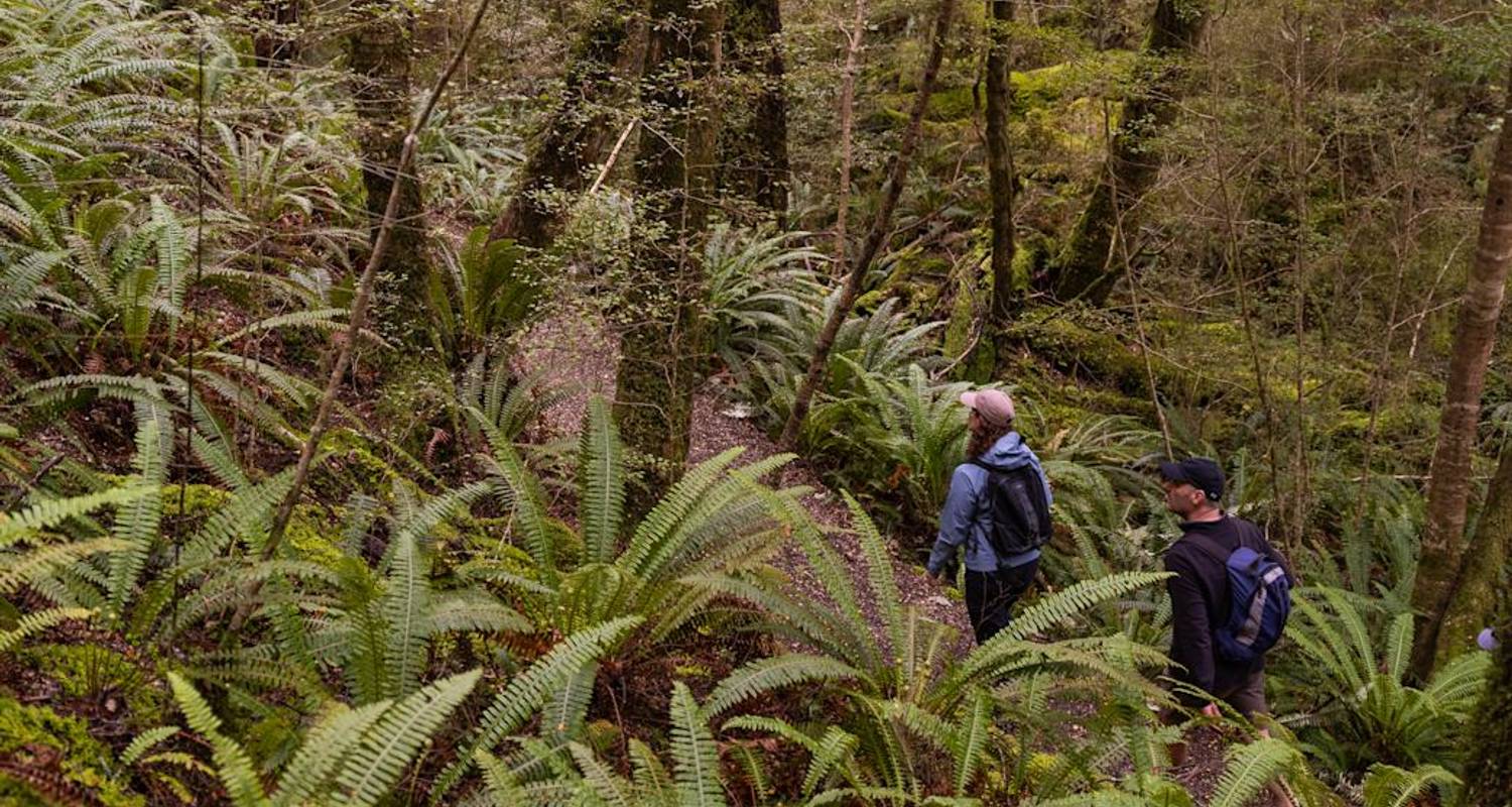 2 Wochen Neuseeland Südinsel Rundreisen