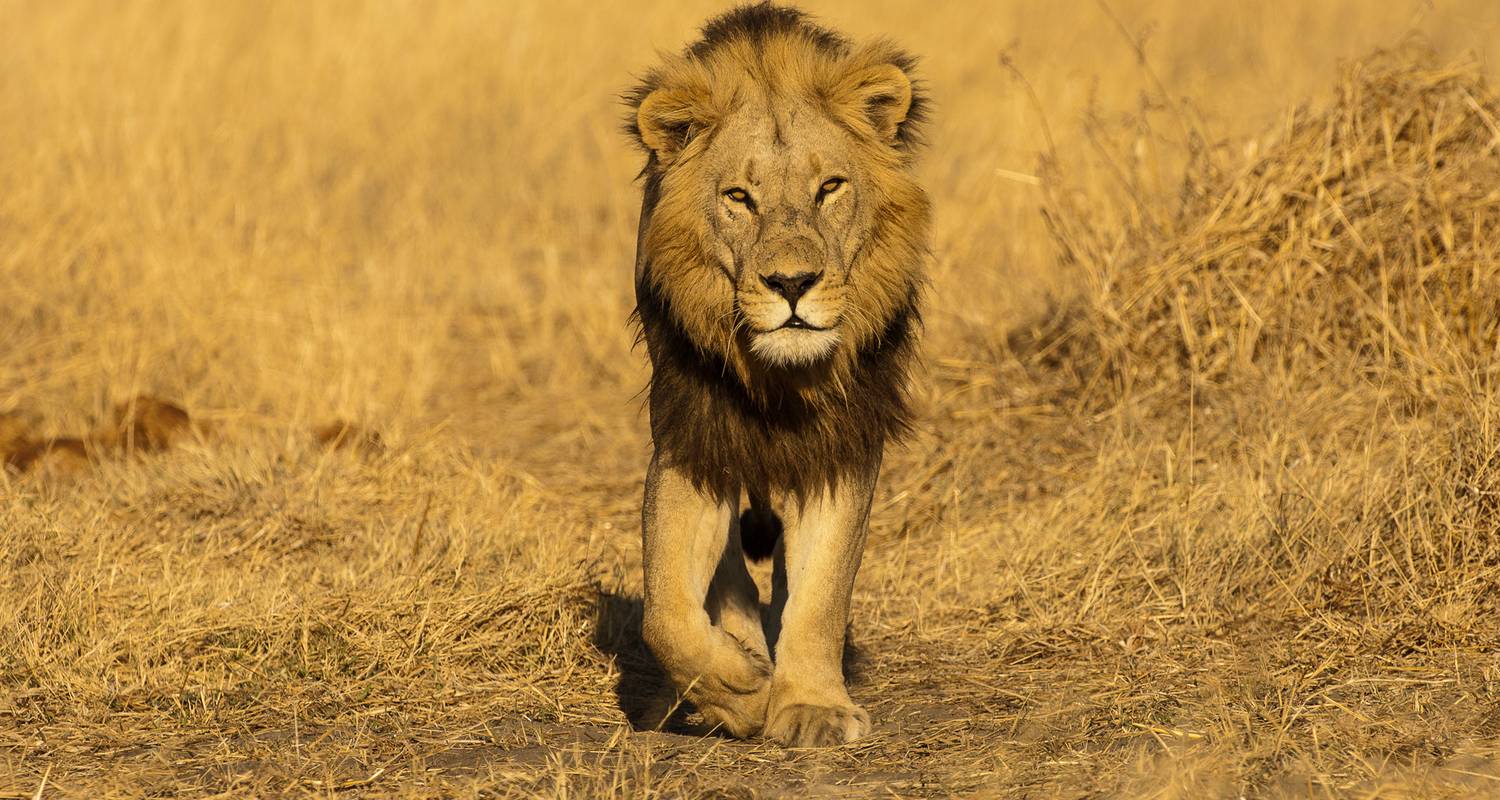 3-Week Kenya Tour Packages