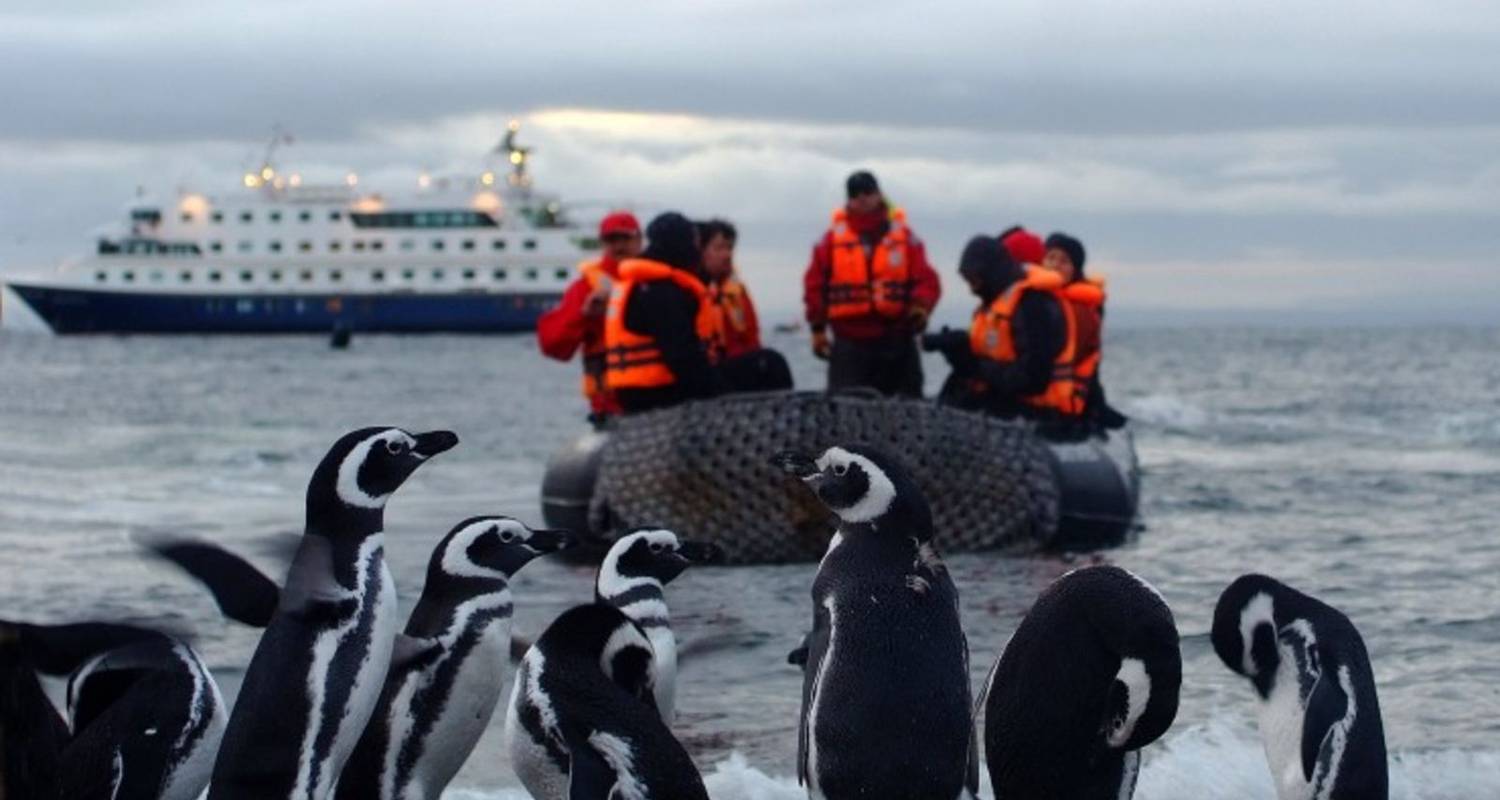 Poolreis Rondreizen in Patagonië