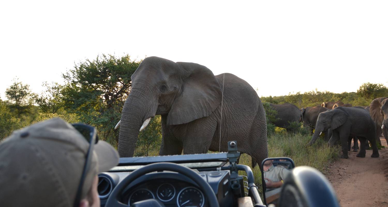 Südafrika: Karonge Wildlife Sancuary - Lernen mit den Wildhütern - GVI