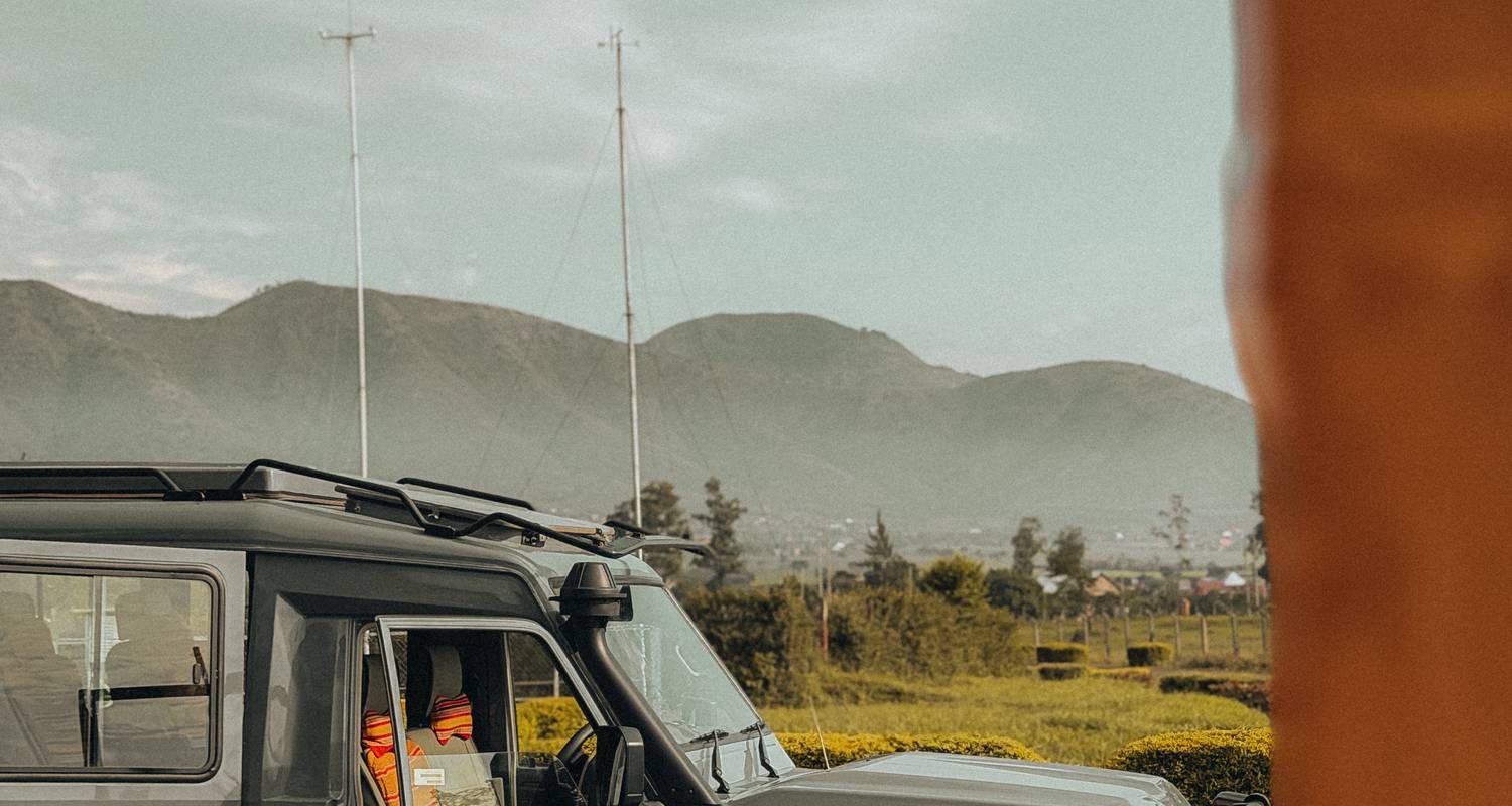 Safari classique à Tarangire, Ngorongoro et dans le Serengeti - GoExplore Safaris