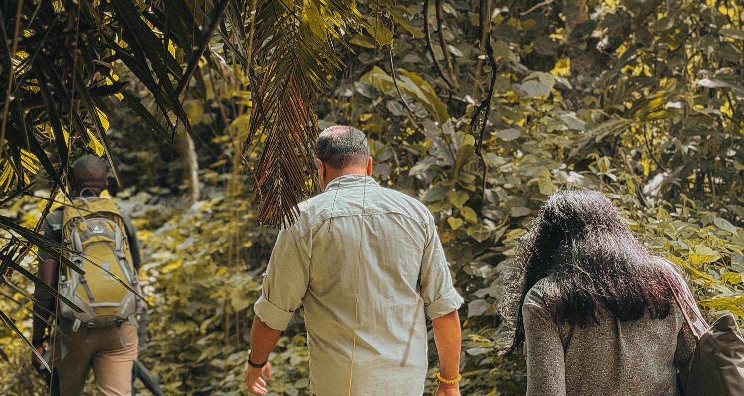 Le circuit ultime : gorilles, chimpanzés et savane sauvage en Ouganda - GoExplore Safaris