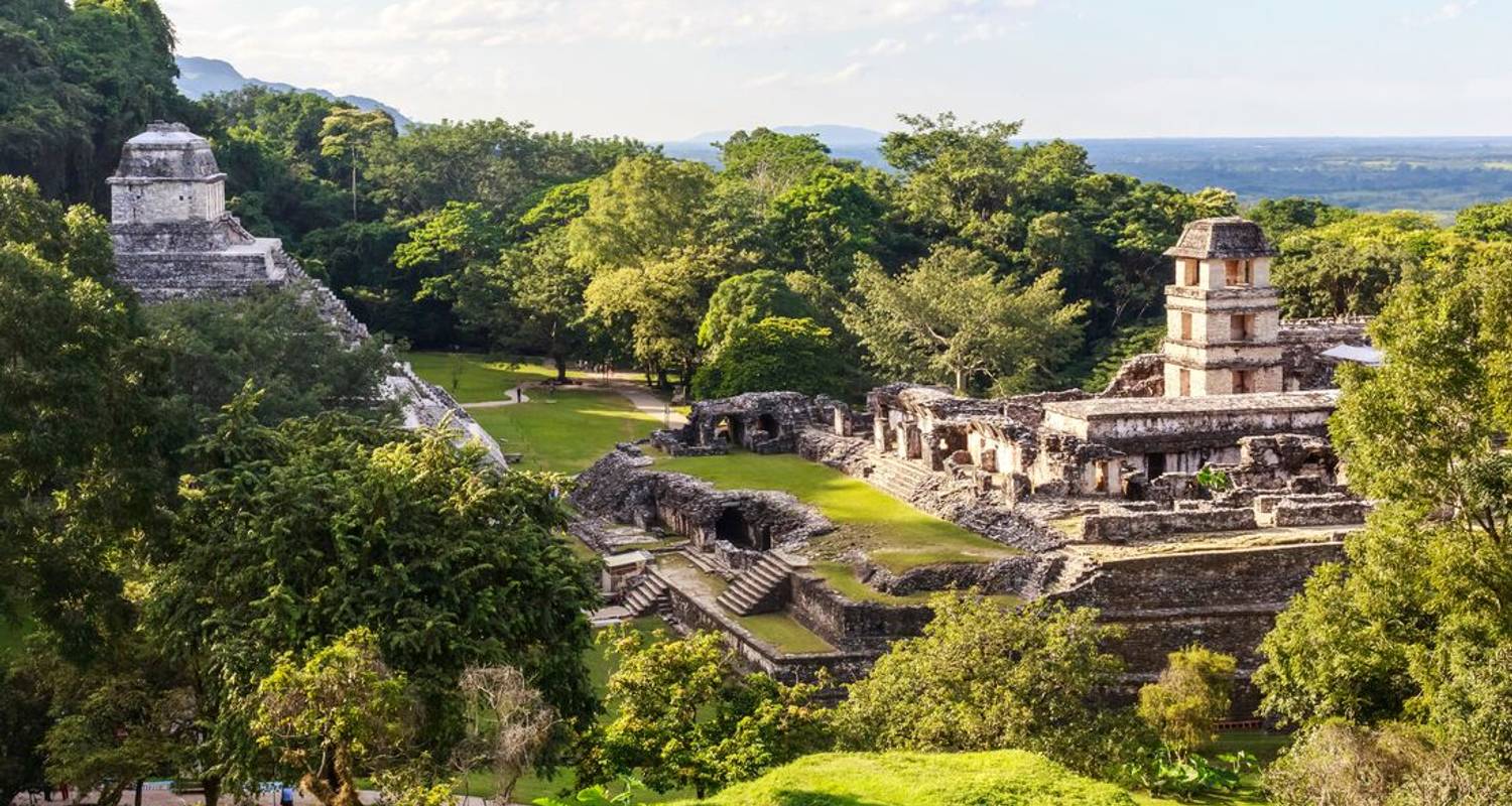 Circuitos Grupo de más de un mes