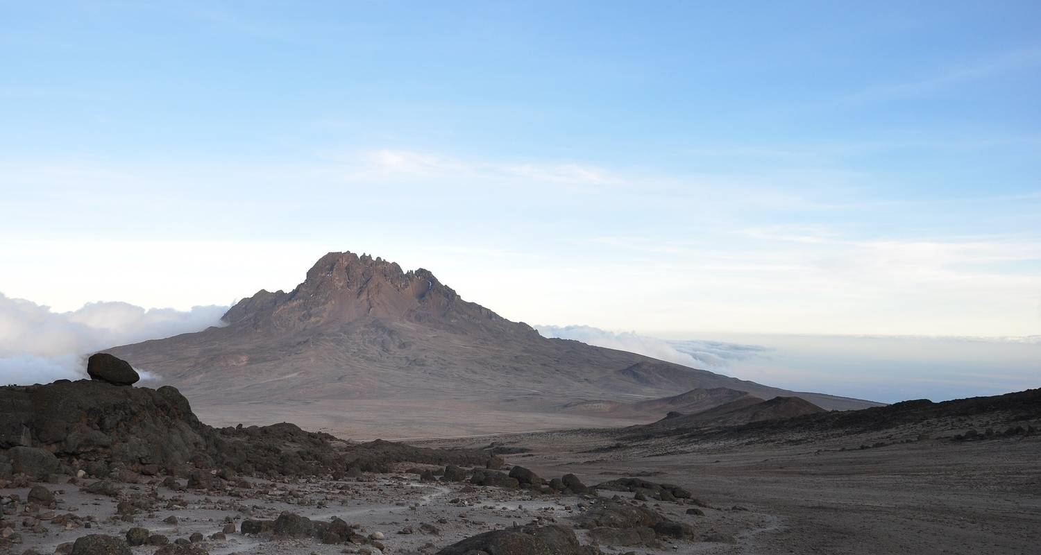 Ascenso al Kilimanjaro ruta Shira - Shine Tours And Travel