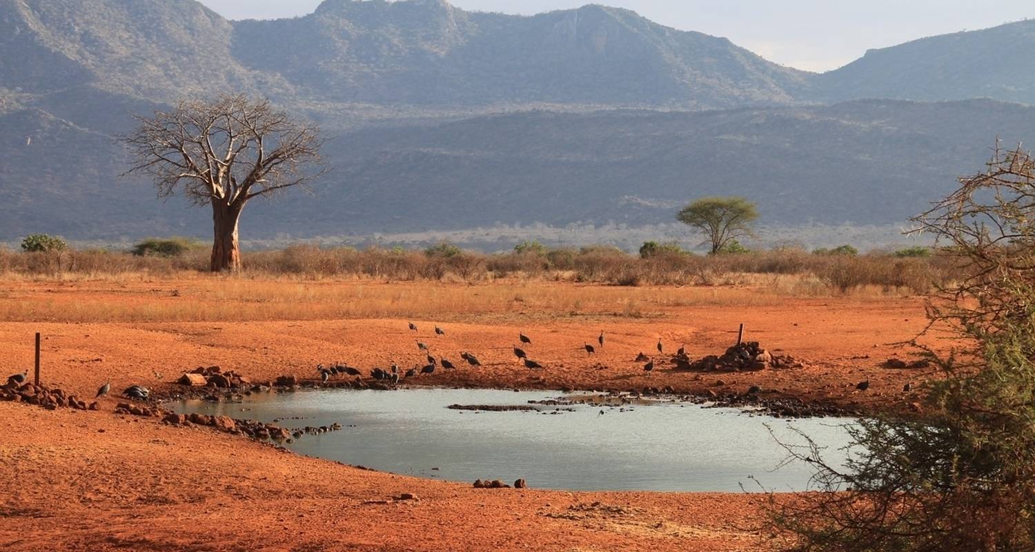 Tansania Natur & Tierwelt