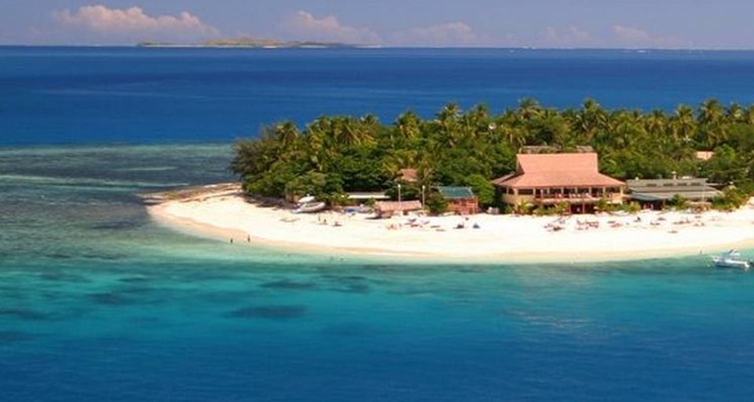 Lei Low - Feejee Experience