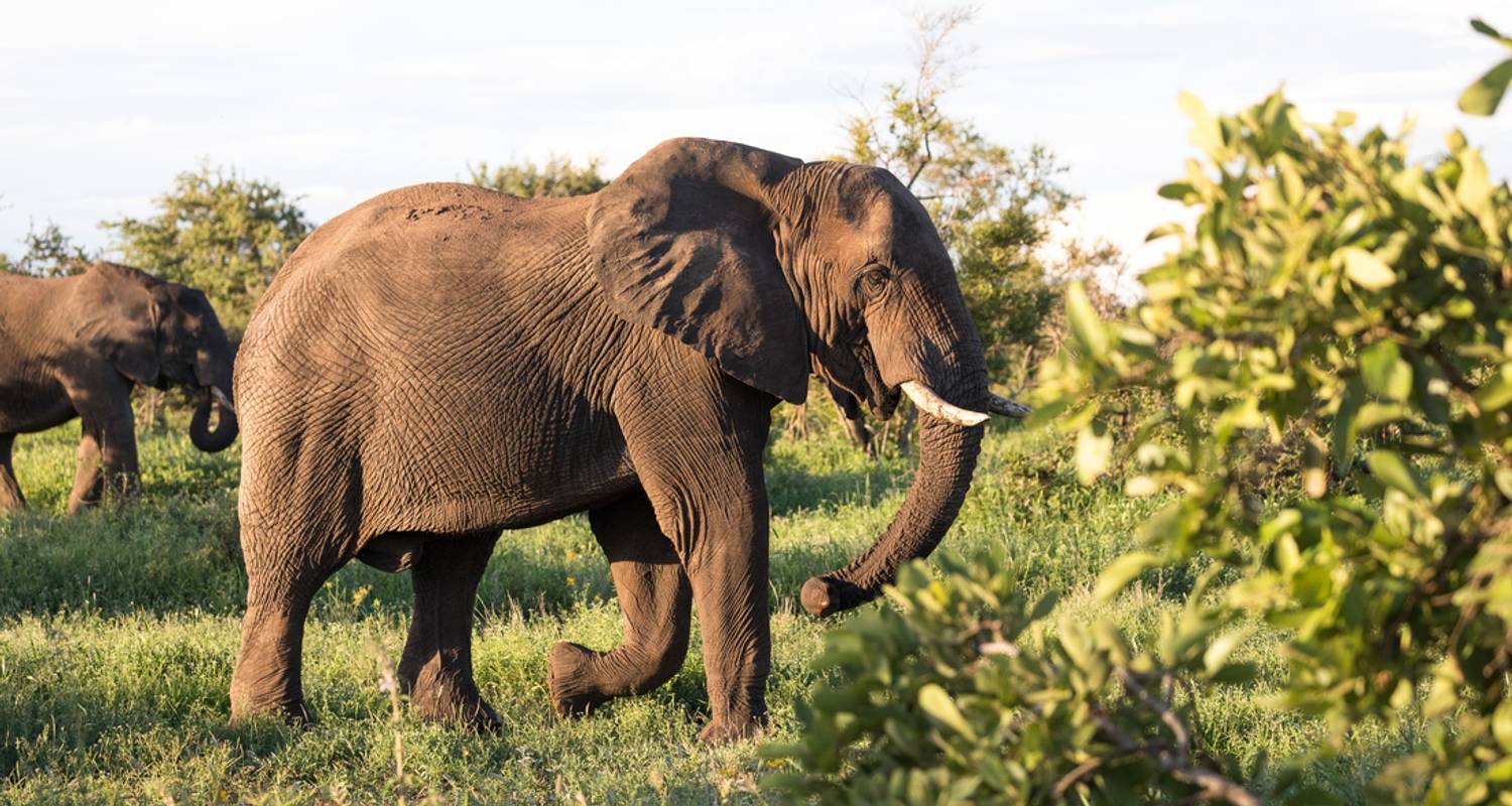 Southern Africa Safari - Intrepid Travel