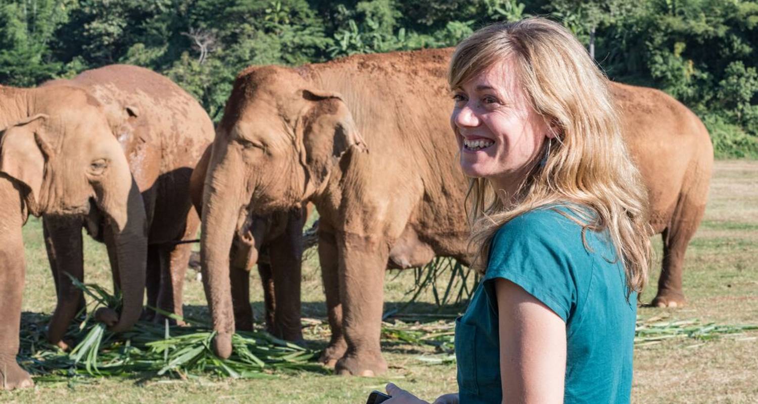 Thailand Family Holiday (from Bangkok to Chiang Mai) - Intrepid Travel