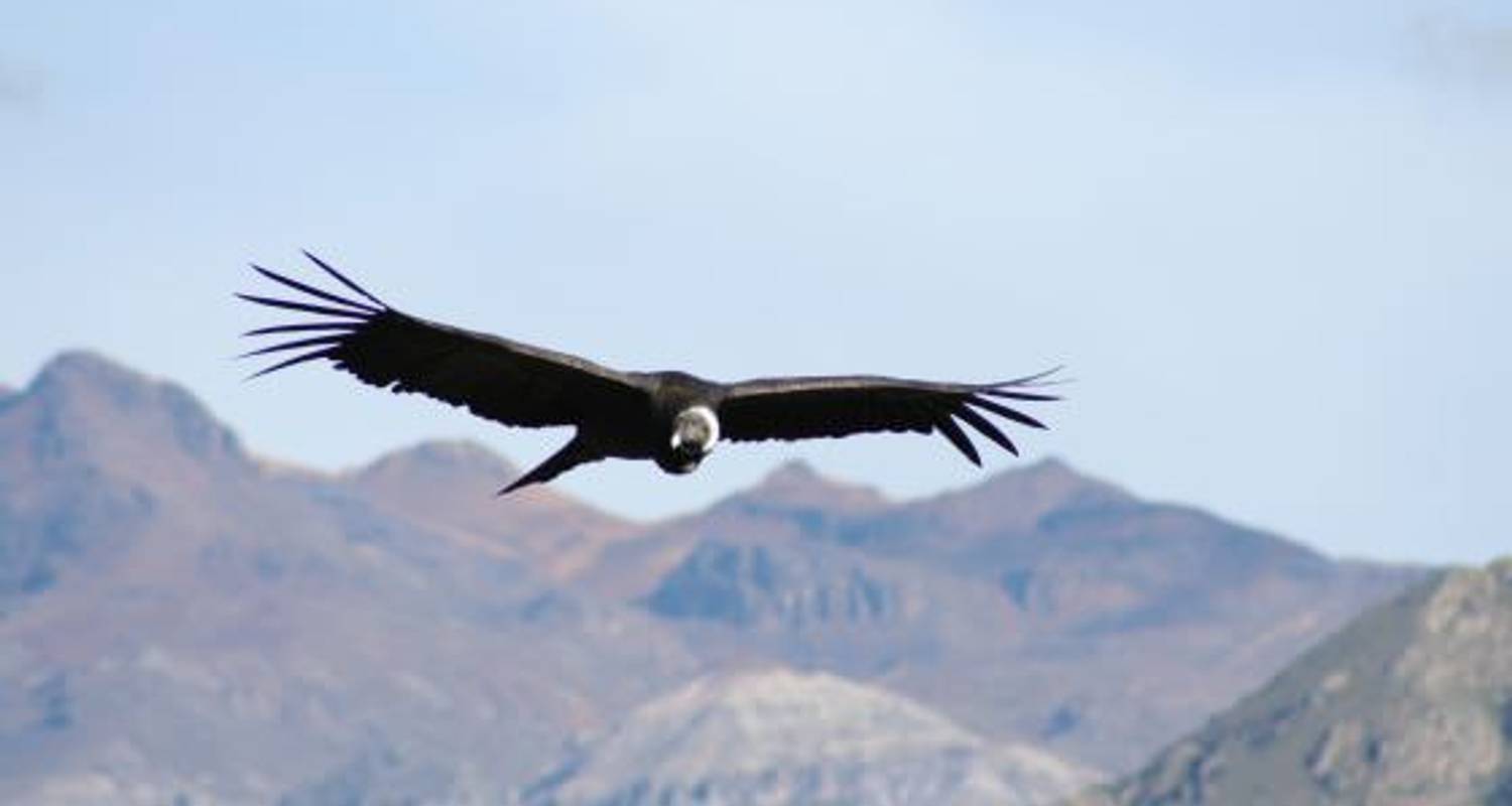 Lima To La Paz (21 Days) Peru & Bolivia Explorer - Oasis Overland