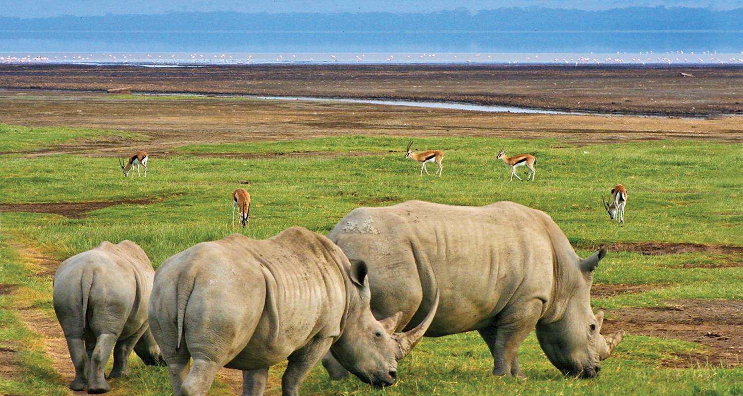 22 Day Zanzibar, Victoria Falls & Kruger - Topdeck