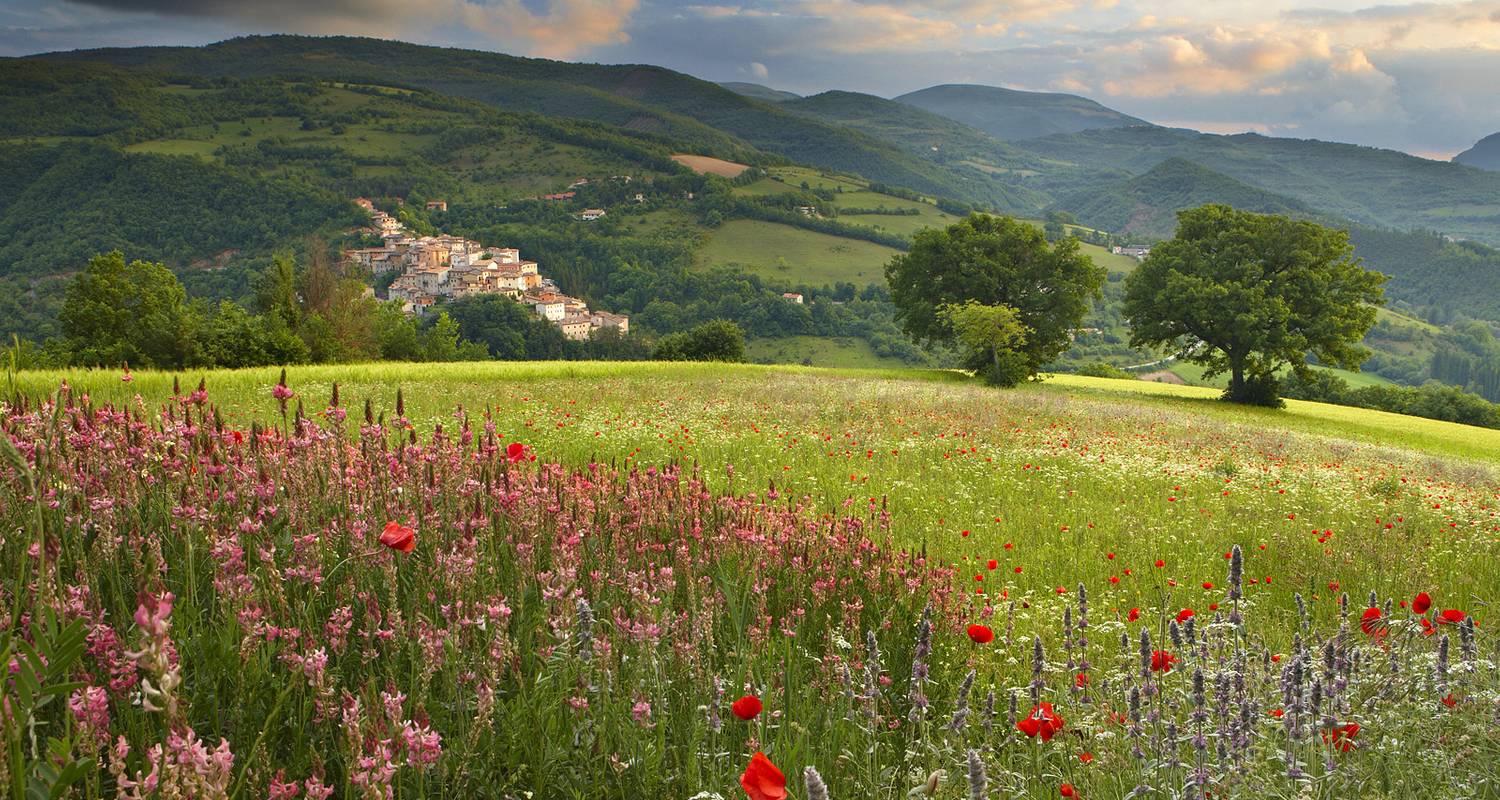 Culinary Paradise in Italy - Food N’ Wine Vacations
