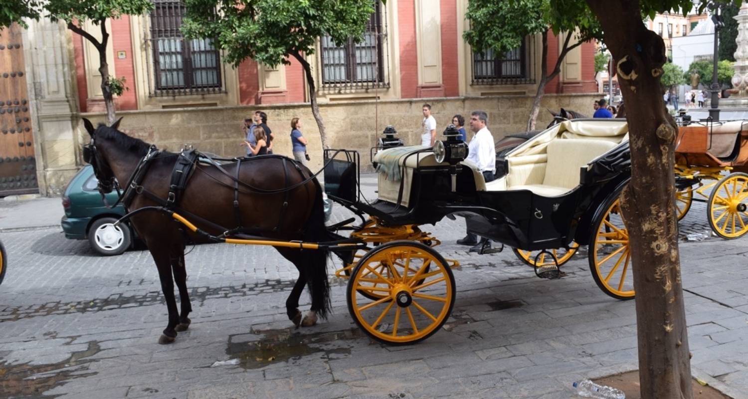 The Splendor of Andalucia - Food N’ Wine Vacations