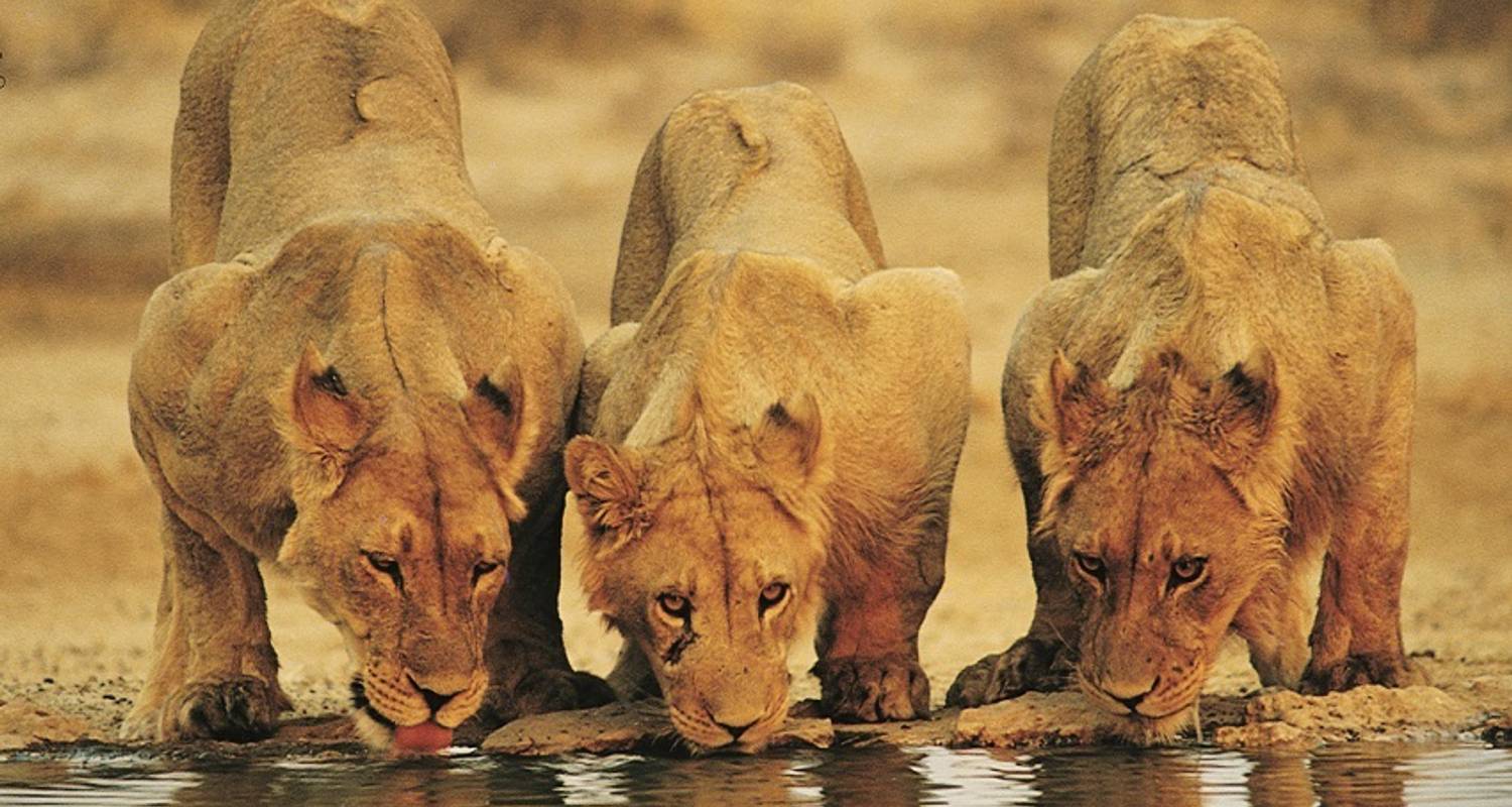 Maasai and Nakuru Discovery 4 Days - Acacia Adventure Holidays