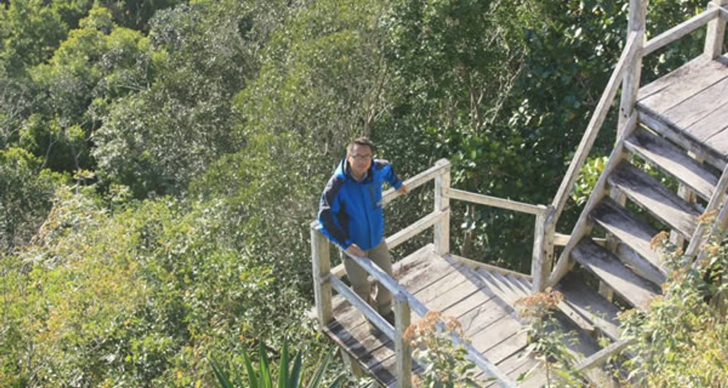 Expedition zu den Maya Ruinen von El Mirador - Marvelus Travel