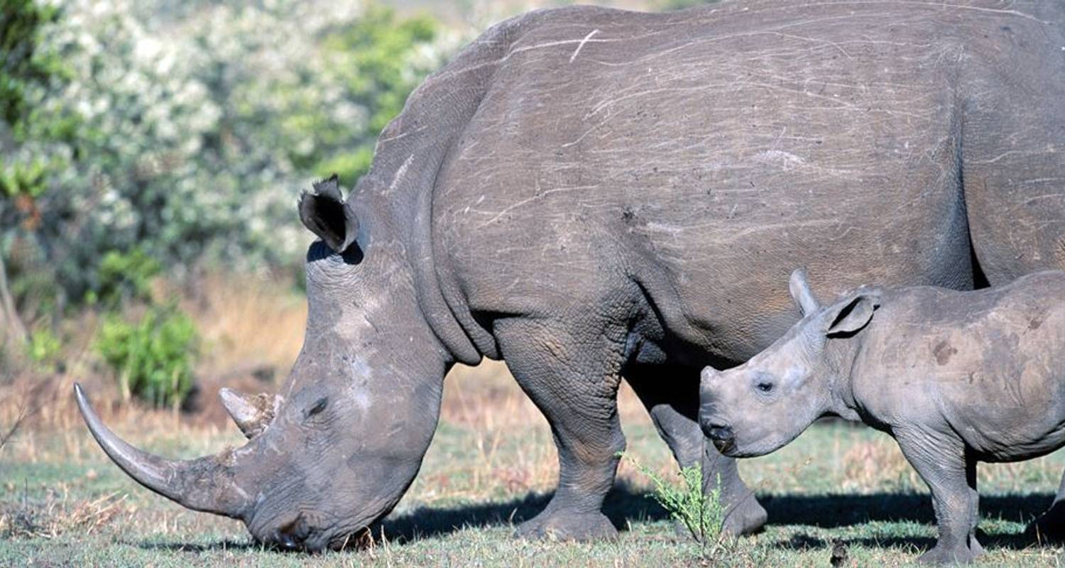 Kenya & Tanzania: The Safari Experience with Zanzibar - Globus