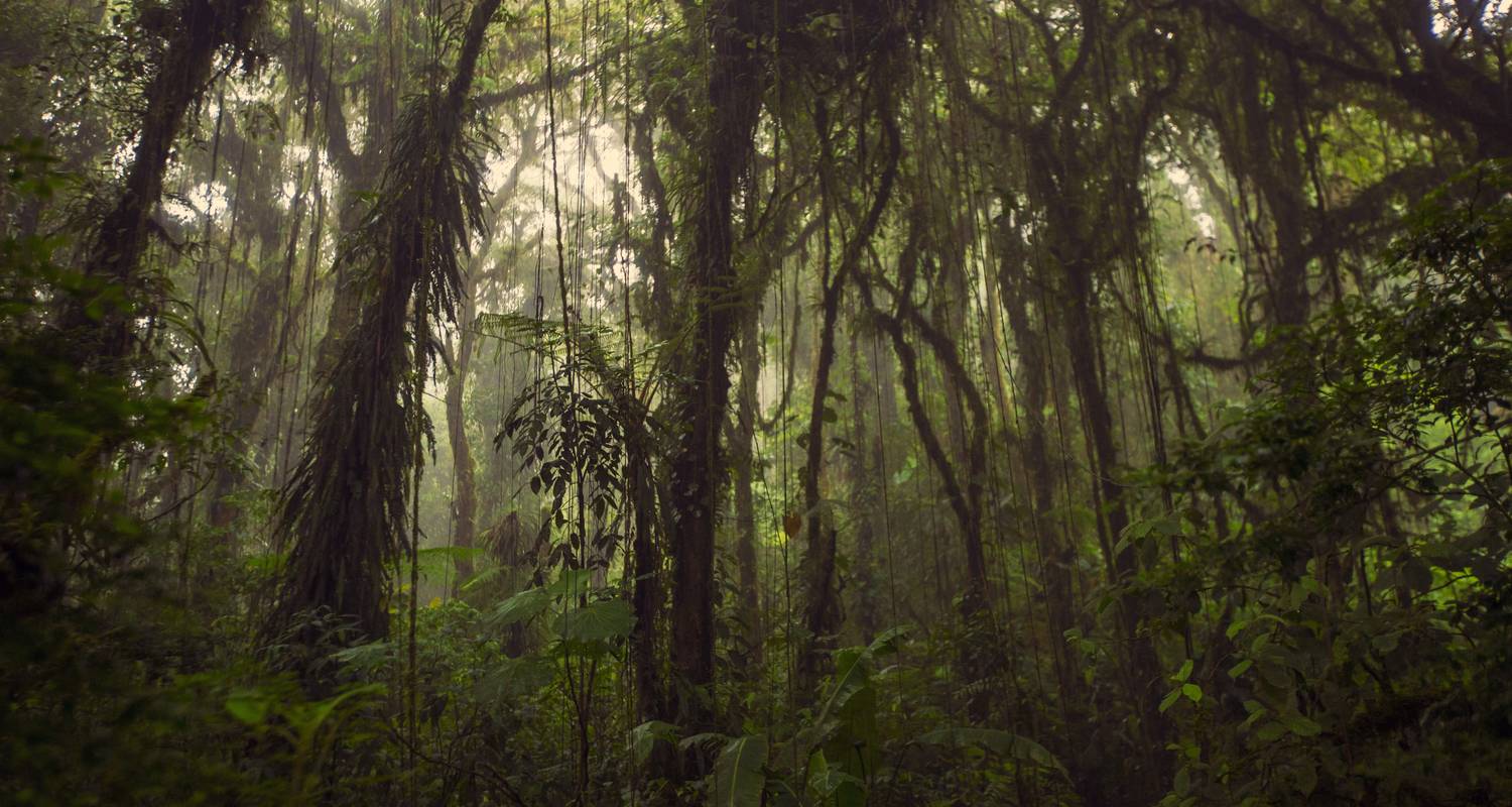 Individualreise: Entdecke Costa Rica - G Adventures