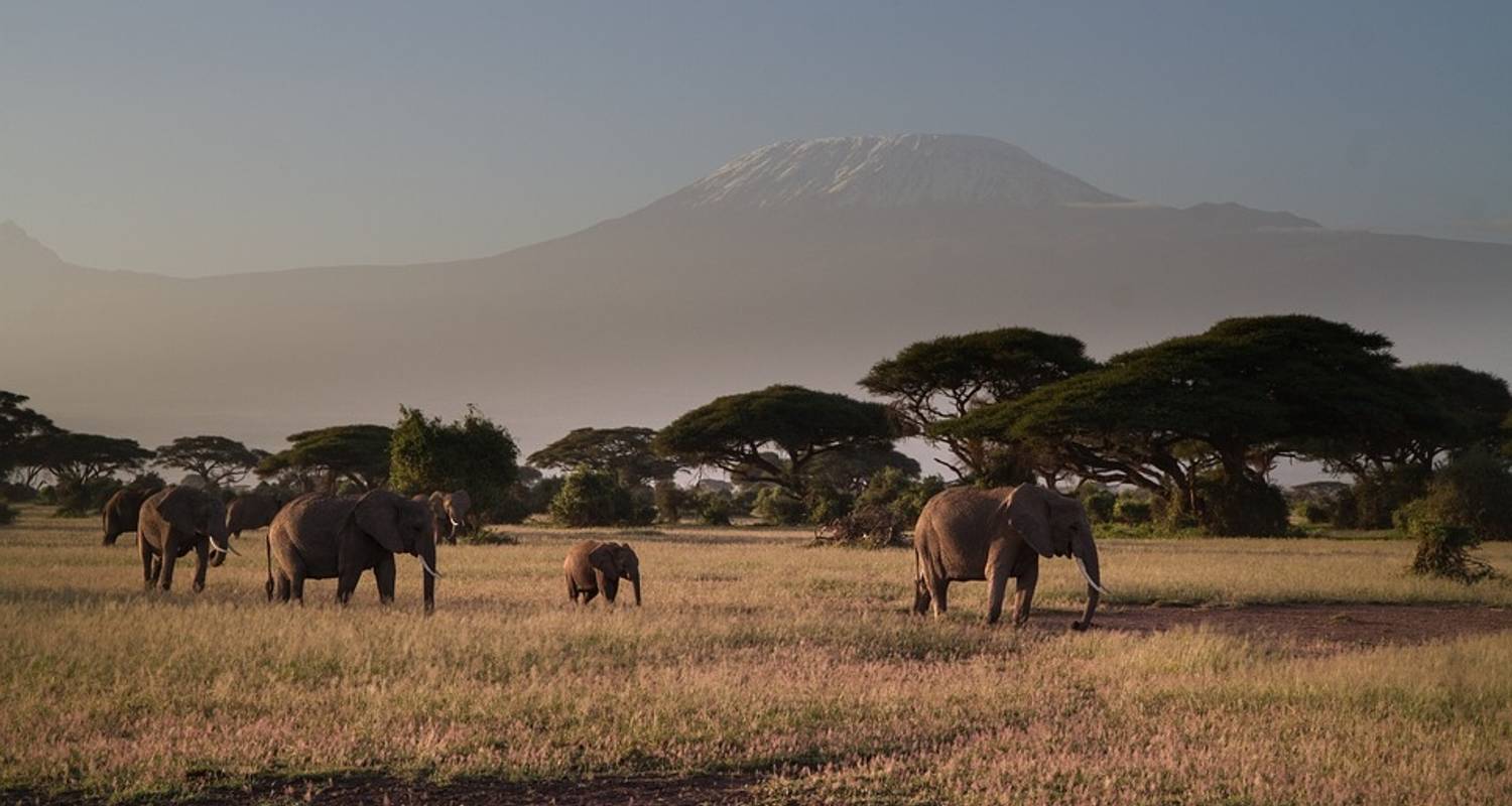 Luxus Tansania Safari: 13 Tage/ 12 Nächte Große Migrationssafari in Tansania - Kili Base Adventures