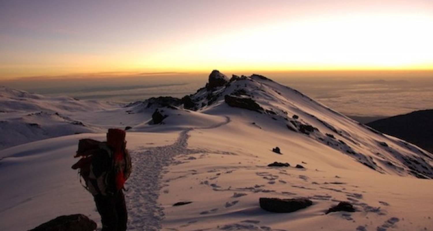 Kilimandscharo (Machame-Route) - Wild Guanabana