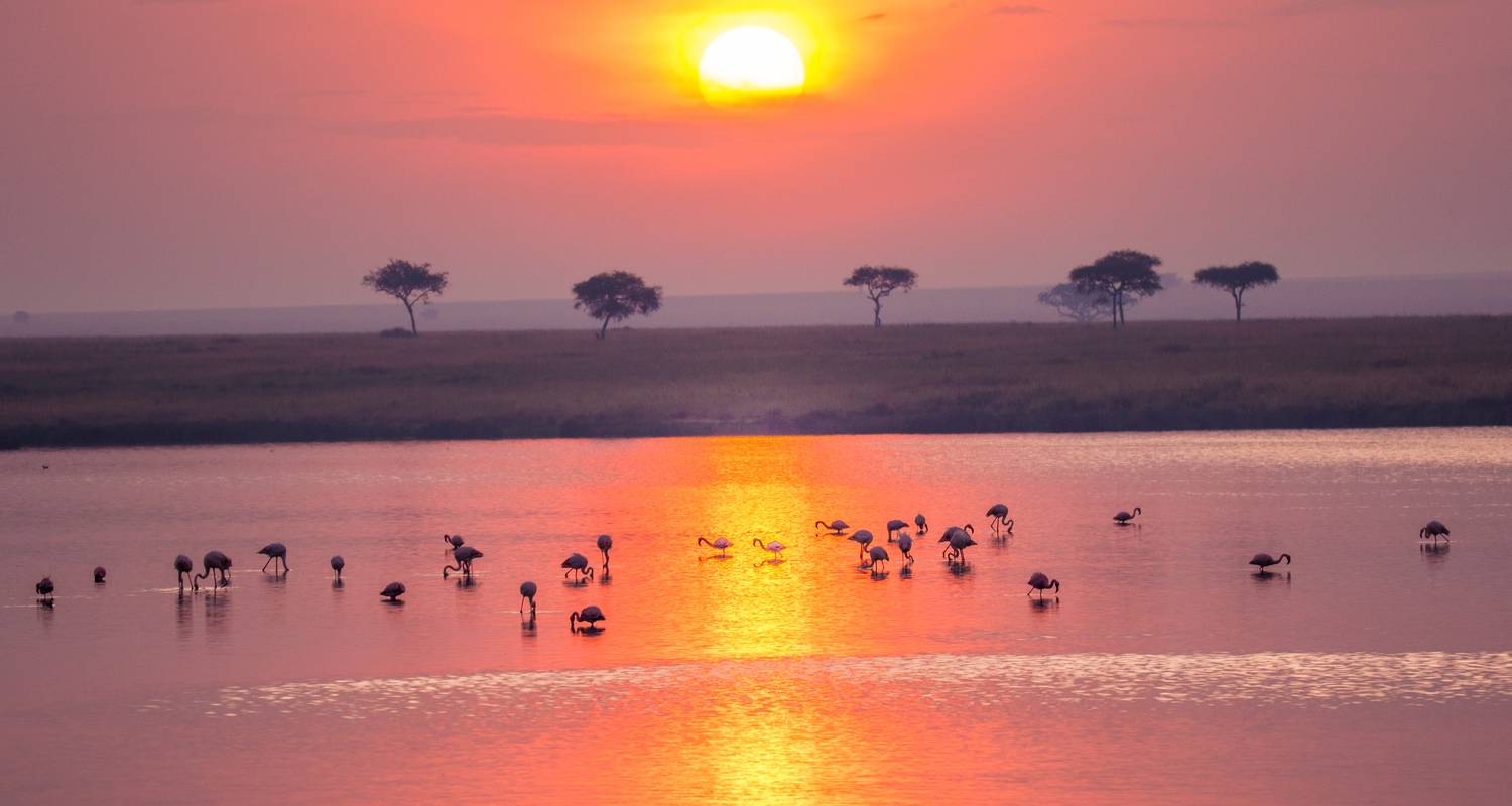 Tanzania en Oeganda Rondreizen