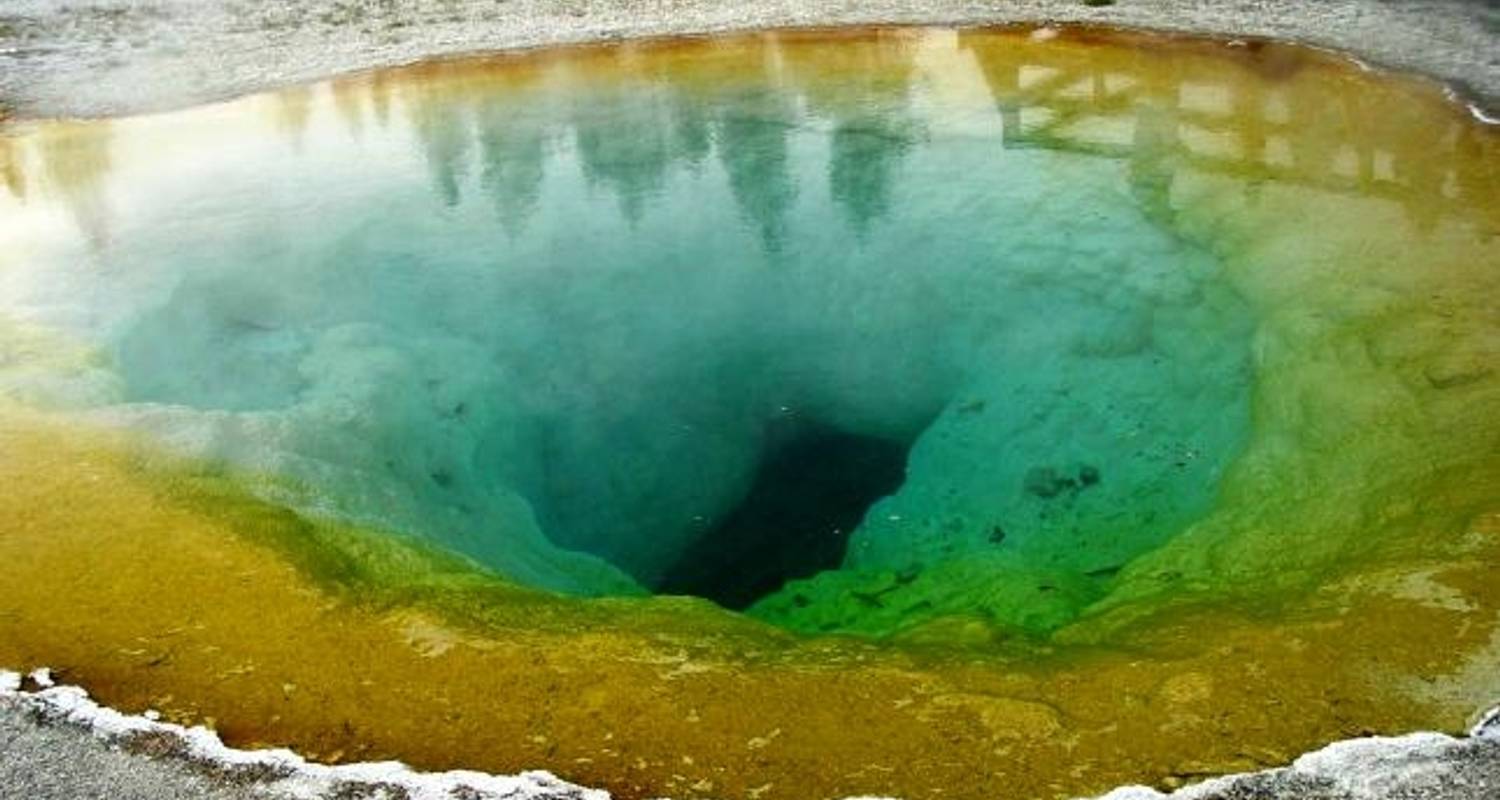 Yellowstone Wildlife Trails (7 destinations) - Grand American Adventures