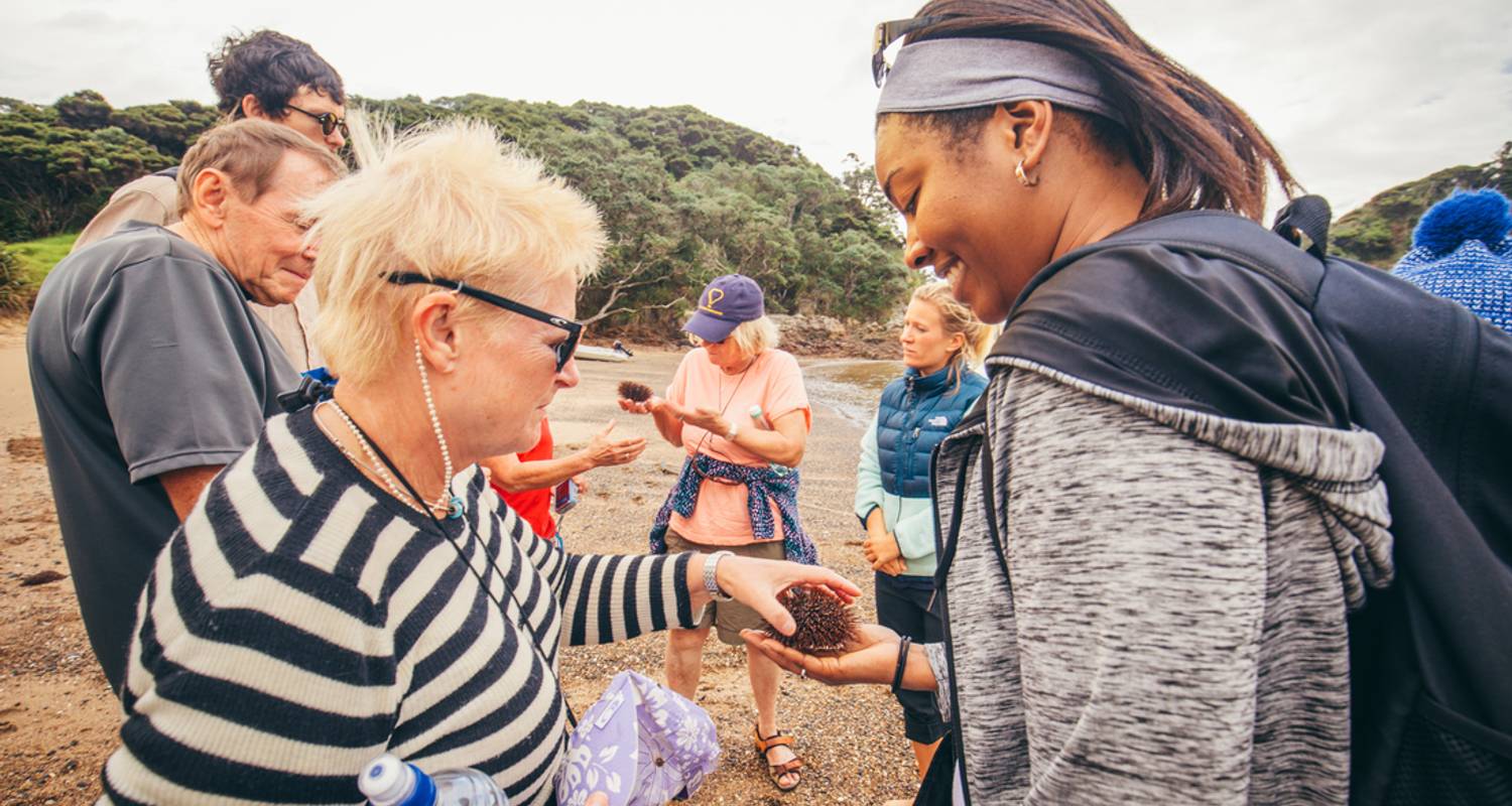 New Zealand North Island Explorer Northbound - Intrepid Travel