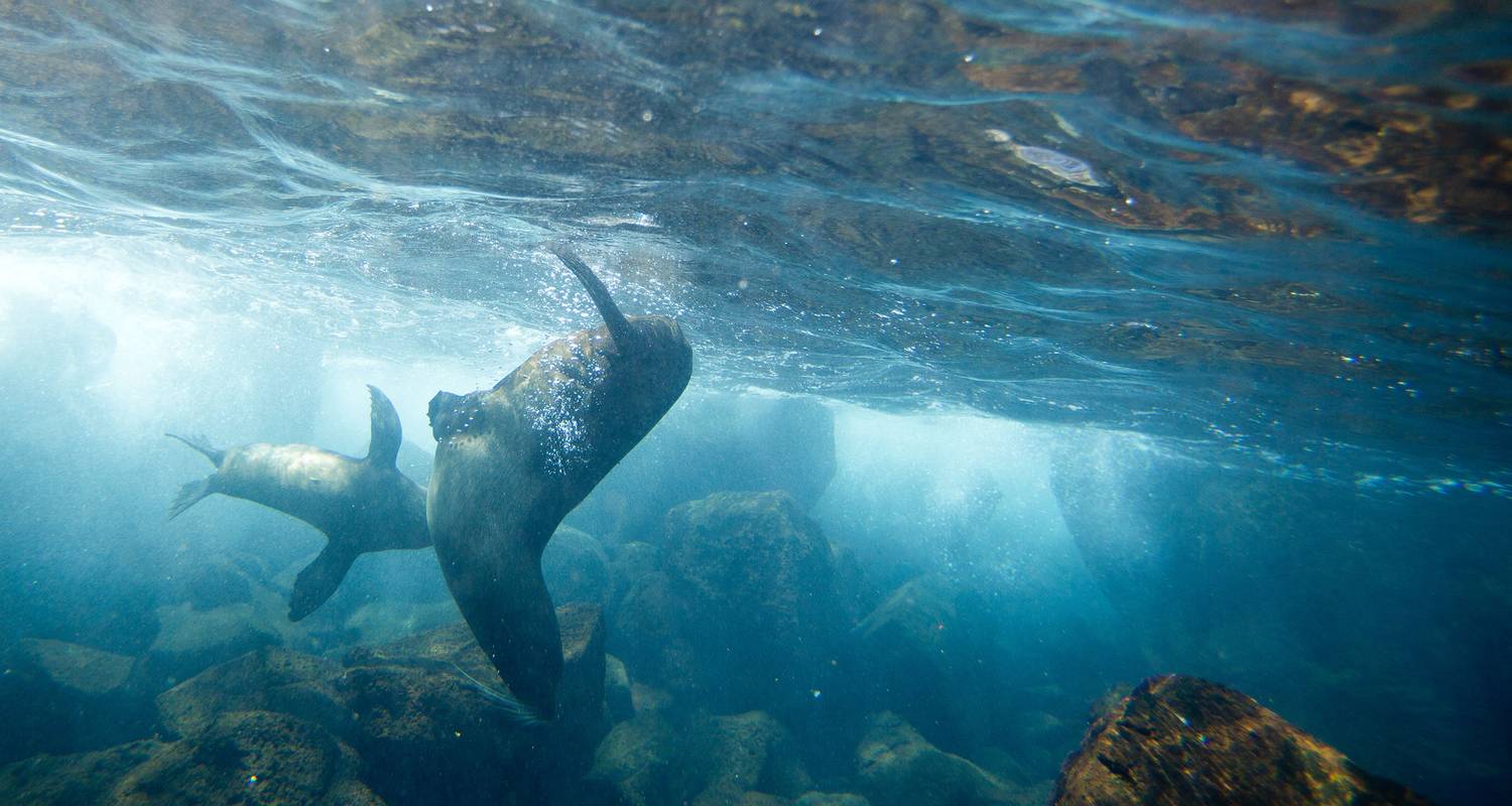 Galápagos Land & Sea — Central & East Islands aboard the Xavier III - G Adventures