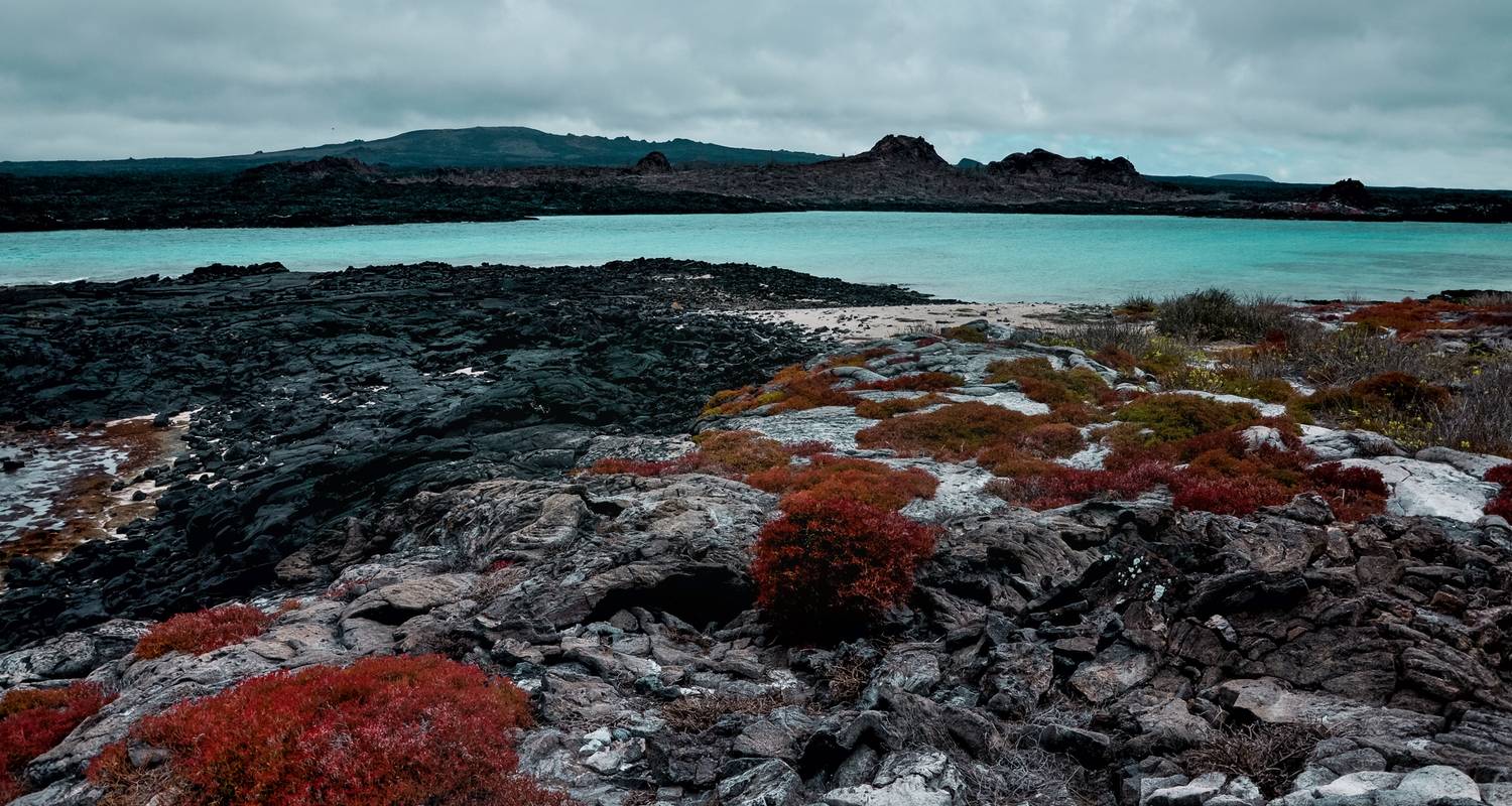 Galápagos — North, Central & South Islands aboard the Estrella del Mar - G Adventures