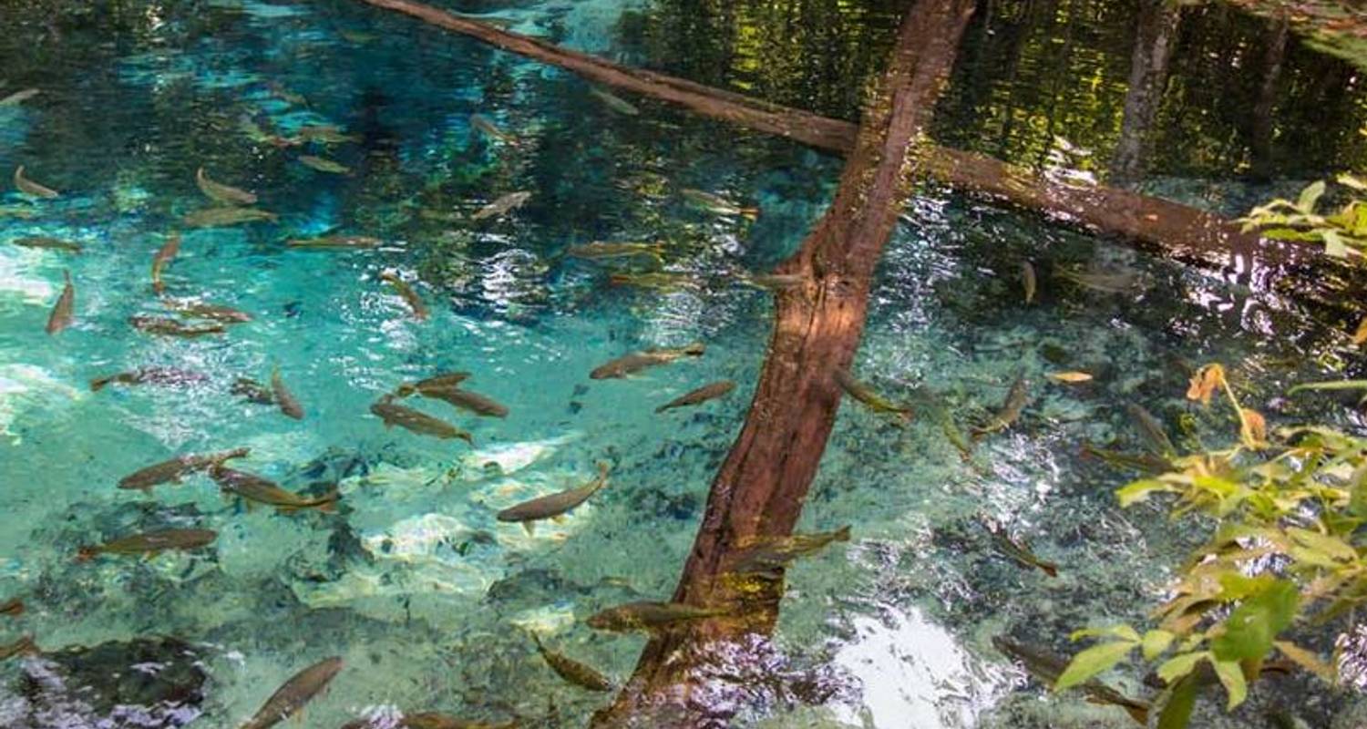 Wetlands, Waterfalls & Wonders (Rio de Janeiro To Buenos Aires & Subsequent) - Dragoman Overland