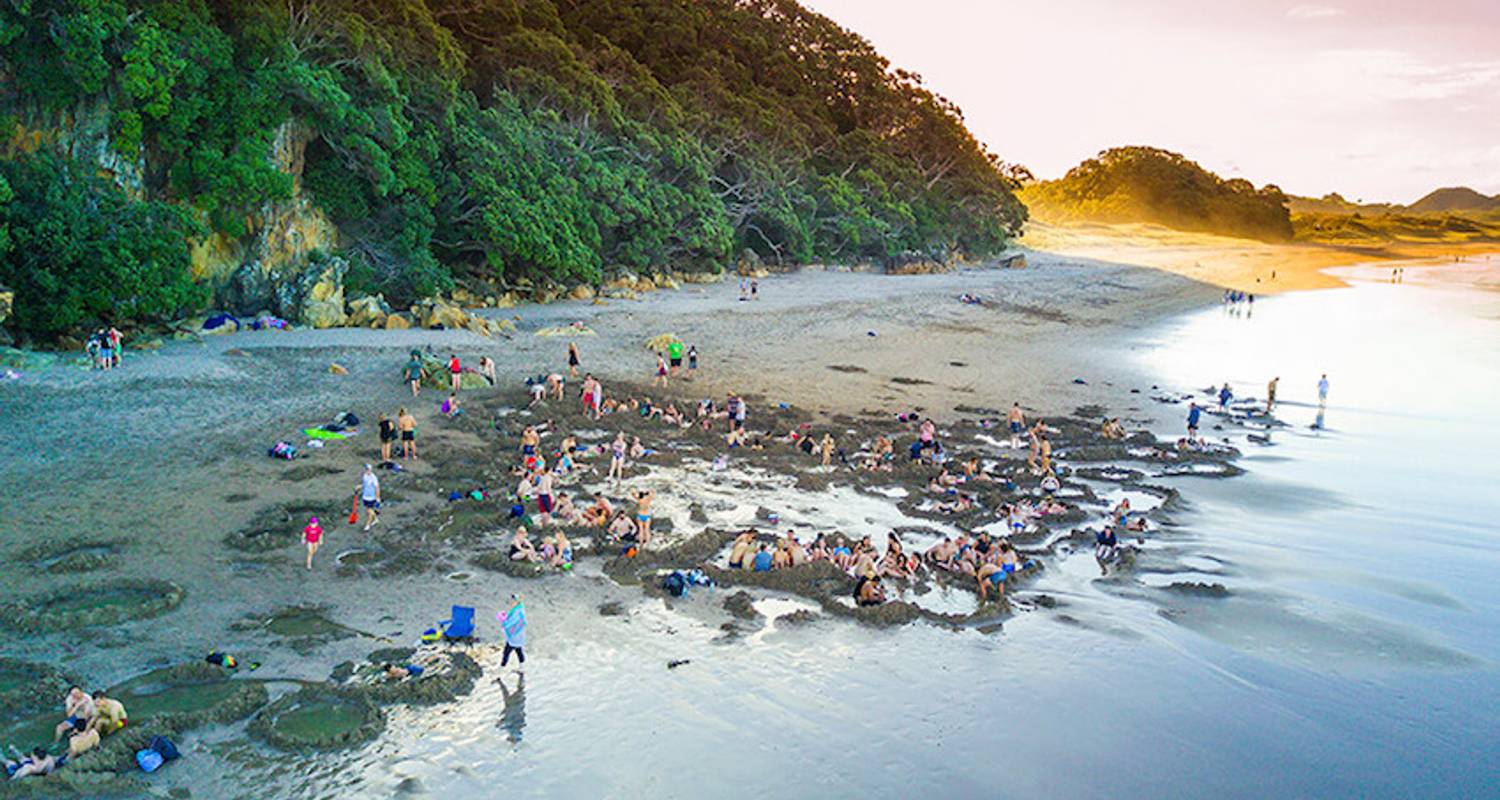 Stray - Short North Pass (North Island) - Stray Travel