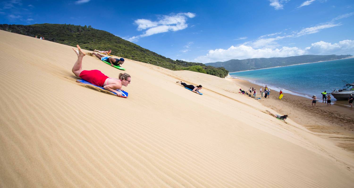 Stray - Far North Pass (North Island) - Stray Travel