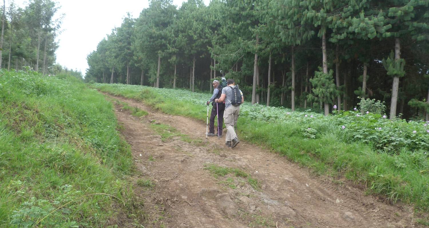 Kilimanjaro ruta Rongai - Viva Africa Tours