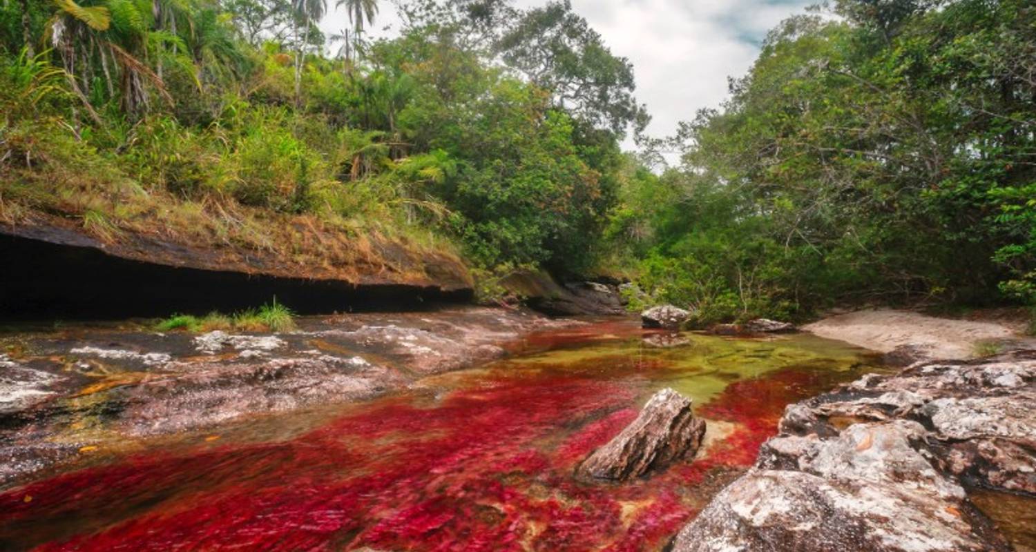 Bogota & Cano Cristales Experience 7D/6N - Bamba